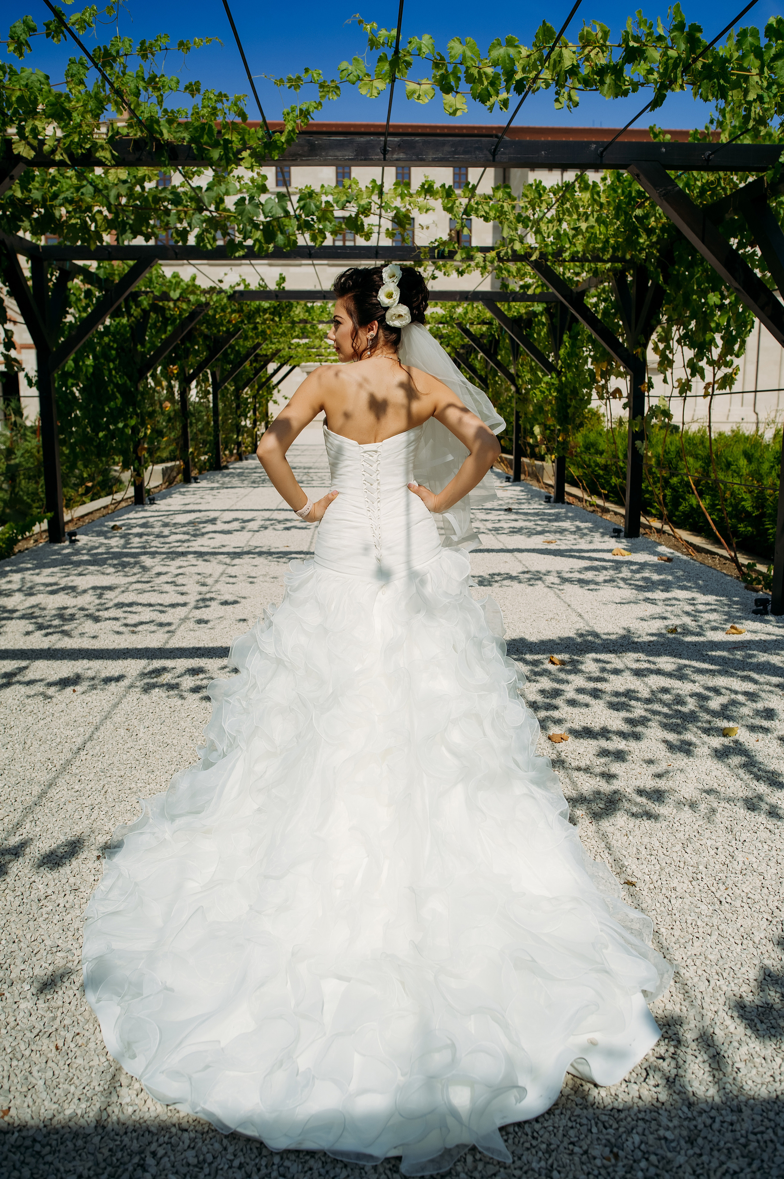 Viorica & Daniel. Fotograf de familie și evenimente