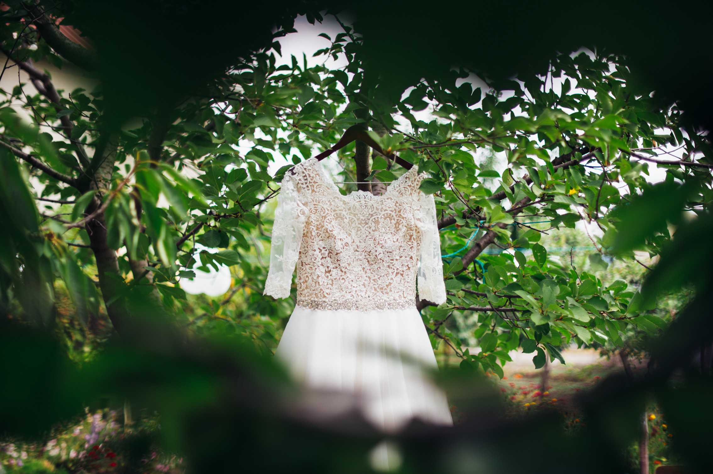 Olga & Andrei. Fotograf de familie și evenimente
