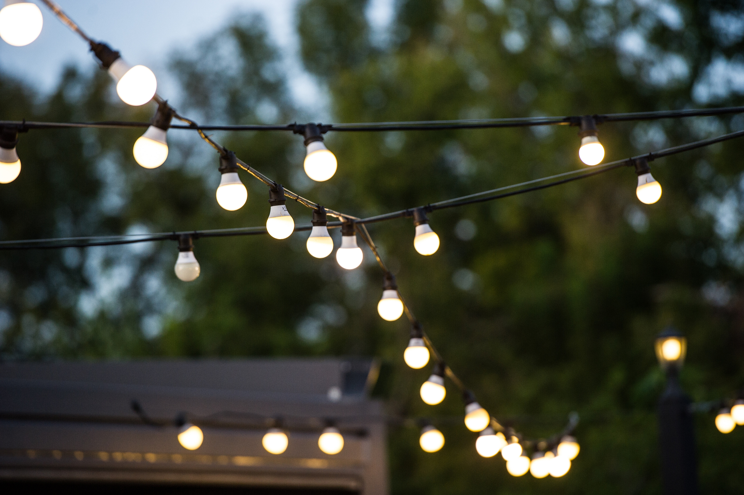 Maria & Maxim. Fotograf de familie și evenimente