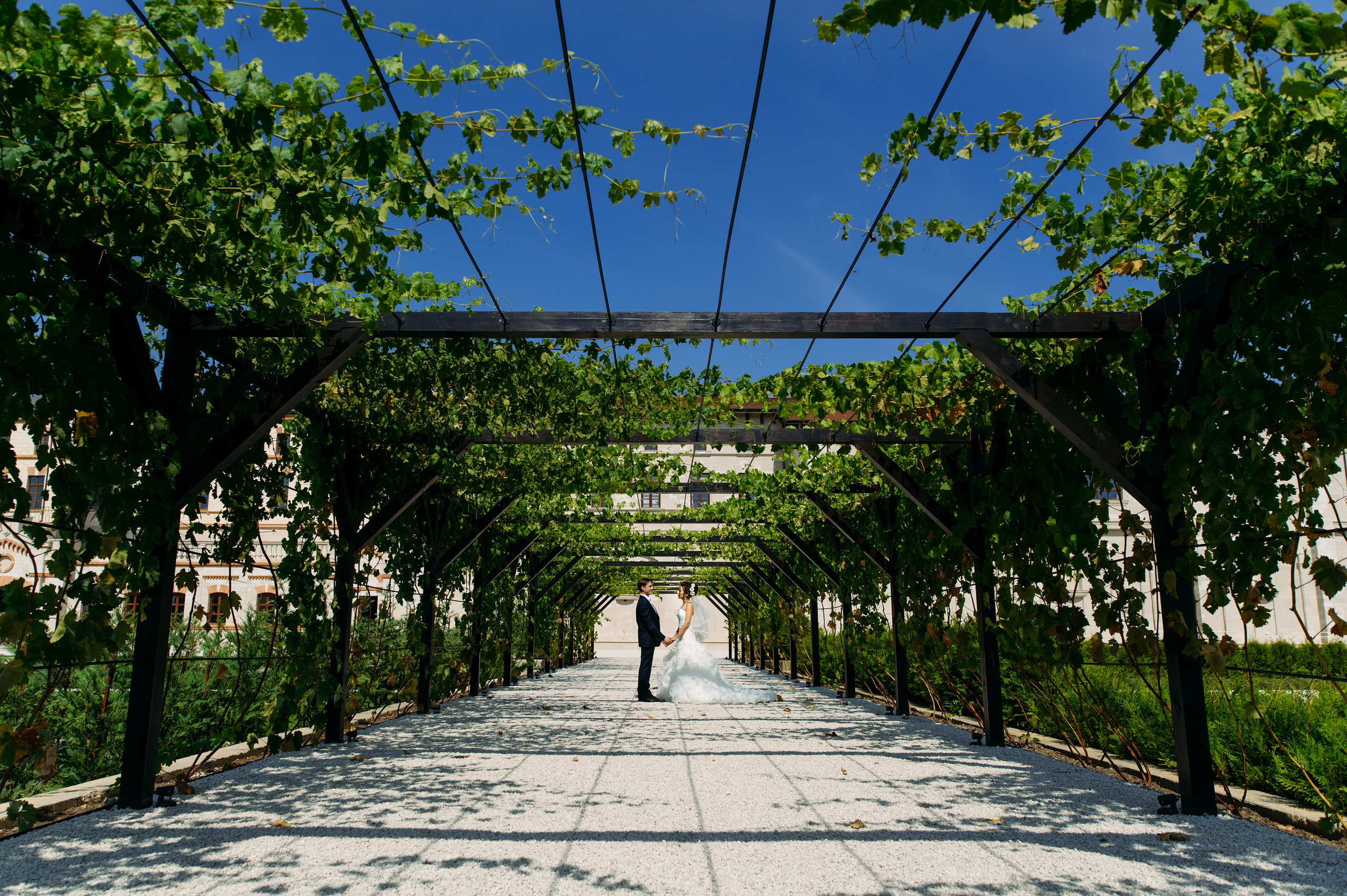 Viorica & Daniel. Fotograf de familie și evenimente