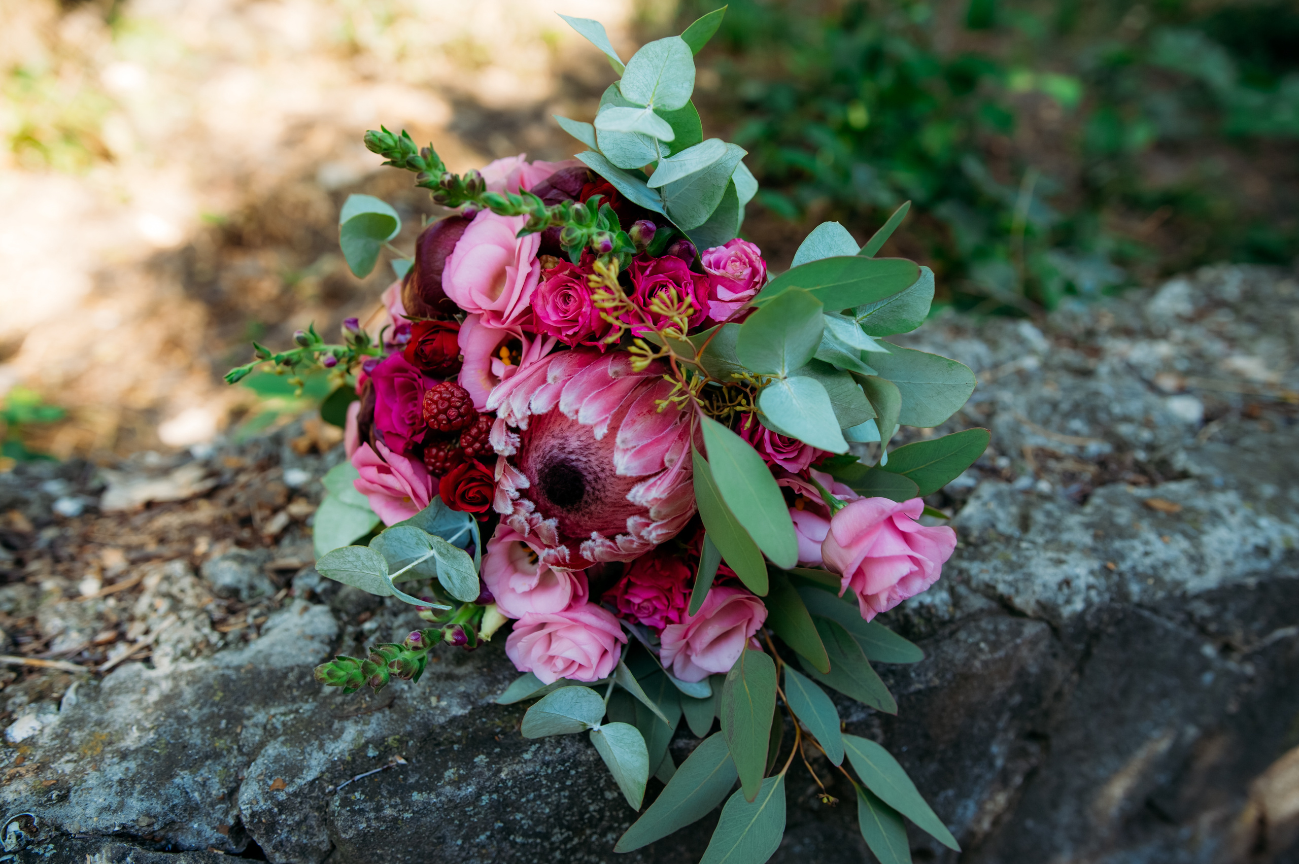 Maria & Maxim. Fotograf de familie și evenimente