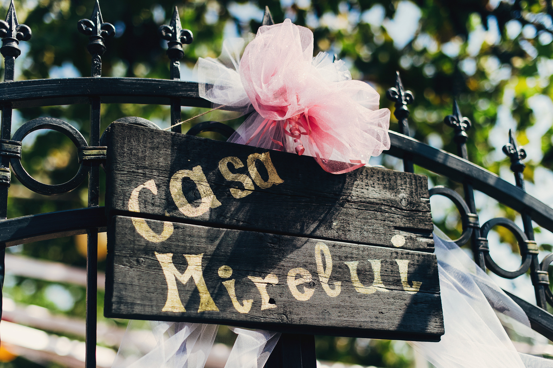 Olga & Andrei. Fotograf de familie și evenimente