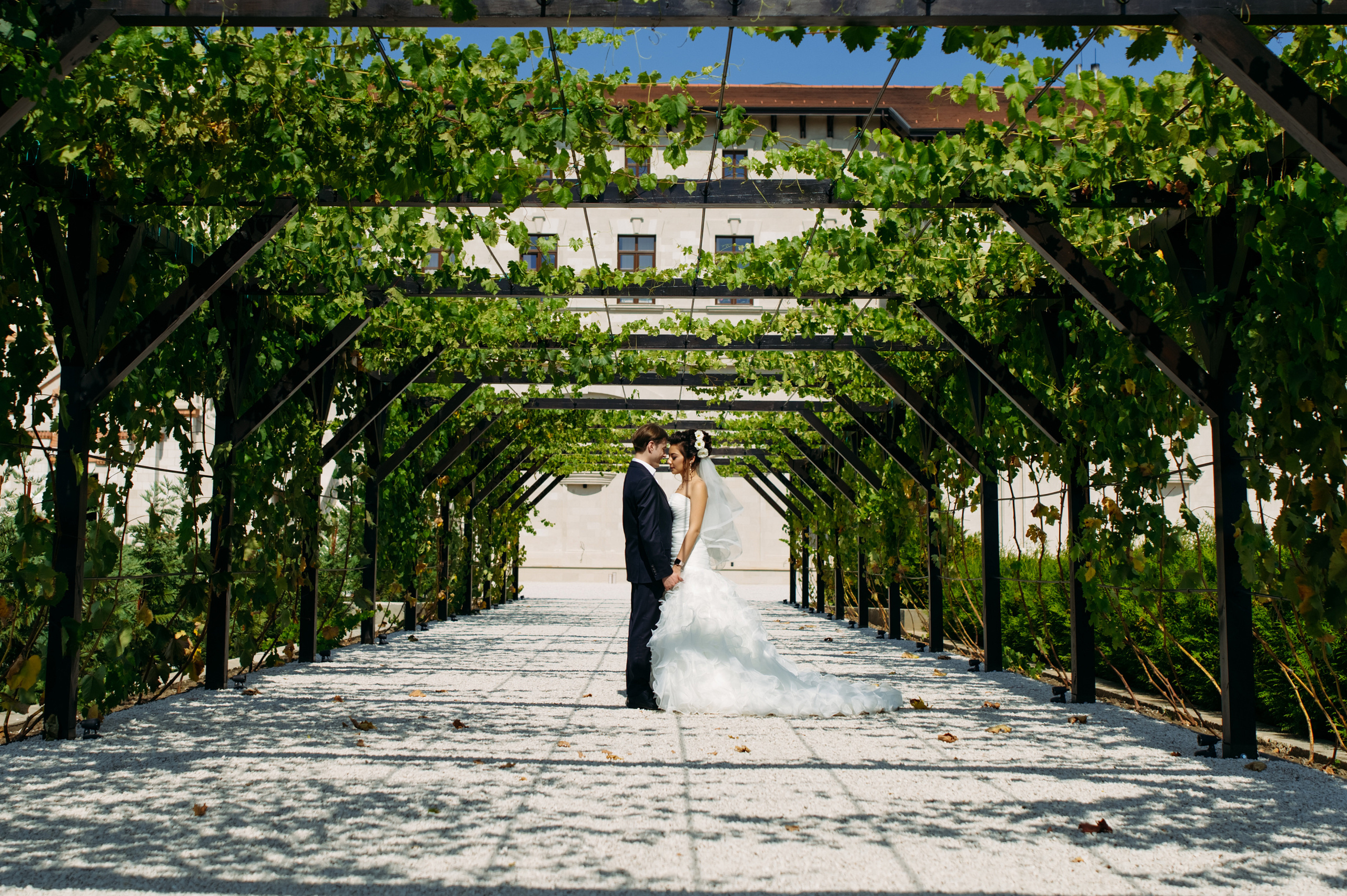 Viorica & Daniel. Fotograf de familie și evenimente