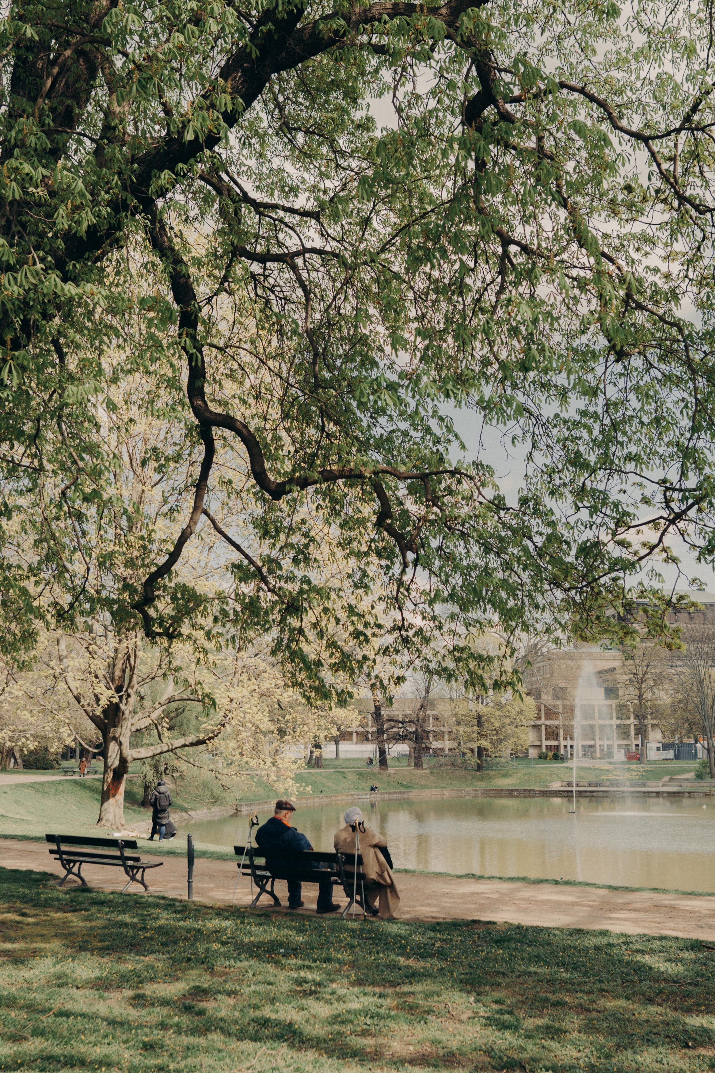 Dresden. Фотограф в Праге Анна Лебедева