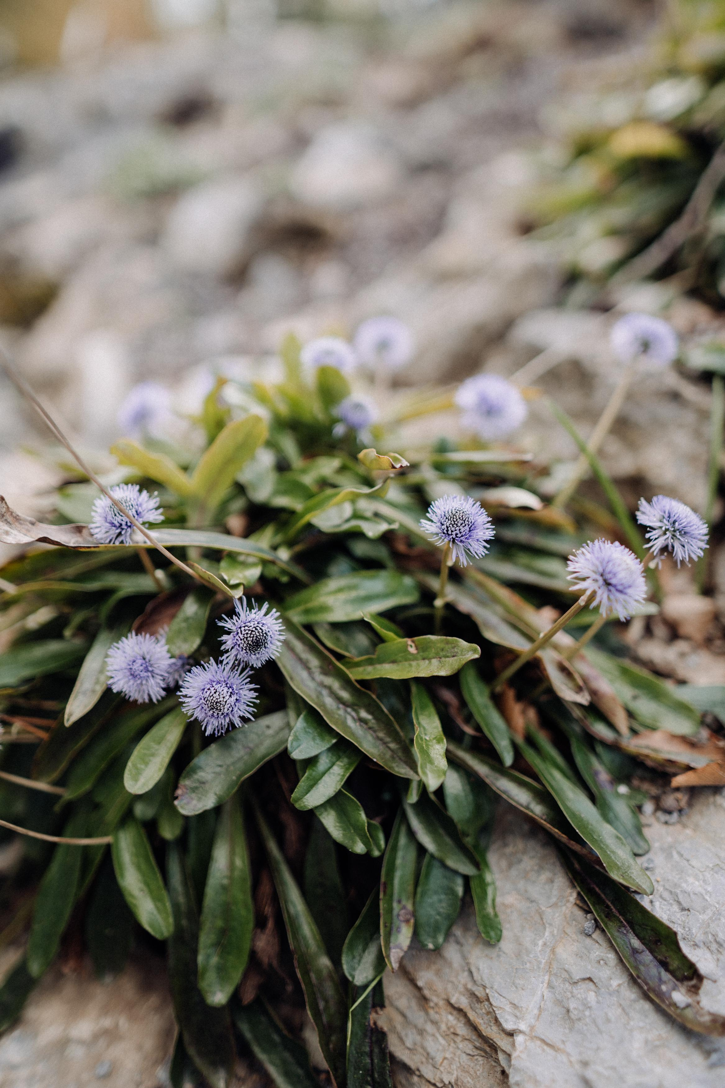 Nature. Фотограф в Праге Анна Лебедева