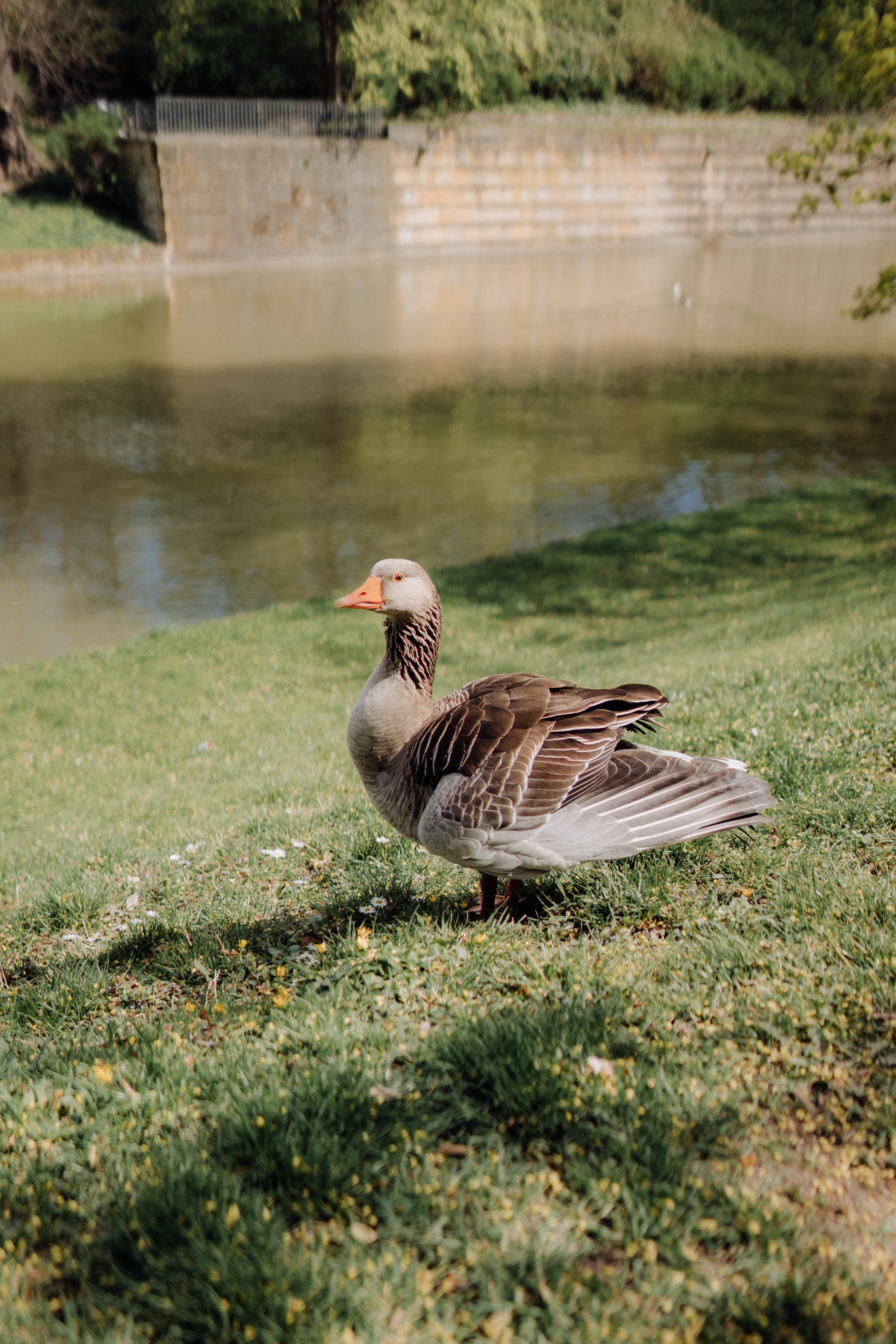 Dresden. Фотограф в Праге Анна Лебедева