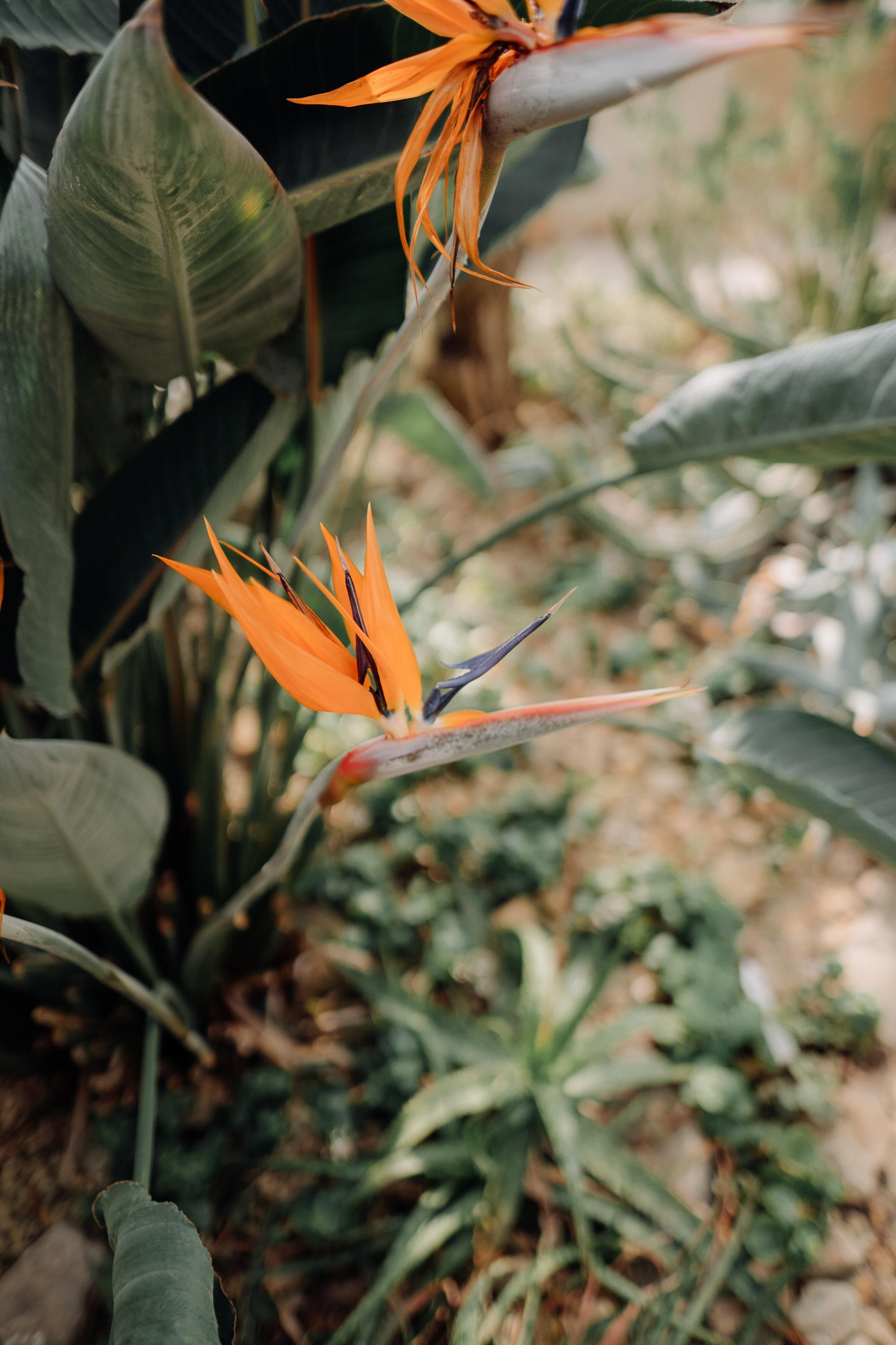Nature. Фотограф в Праге Анна Лебедева