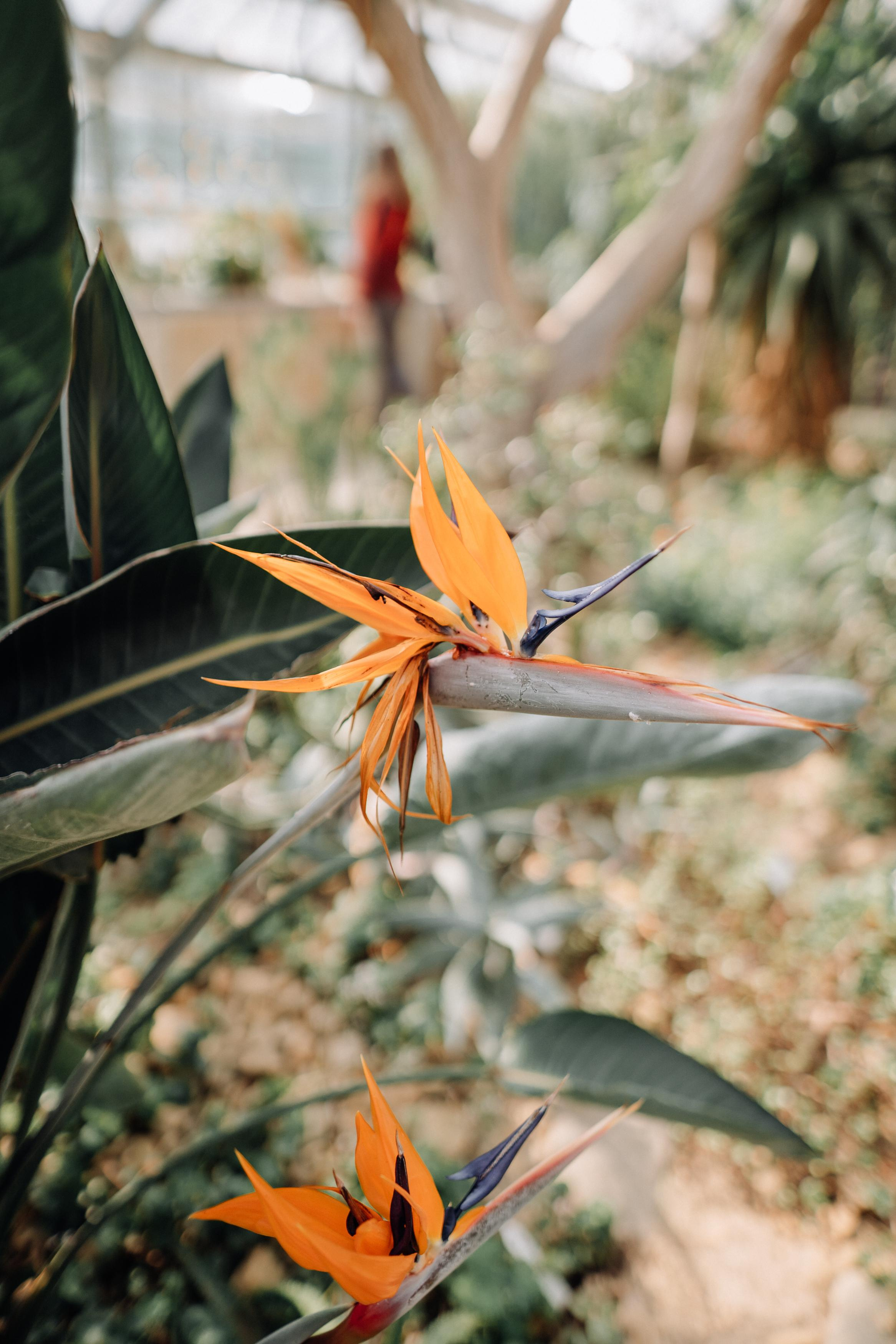 Nature. Фотограф в Праге Анна Лебедева