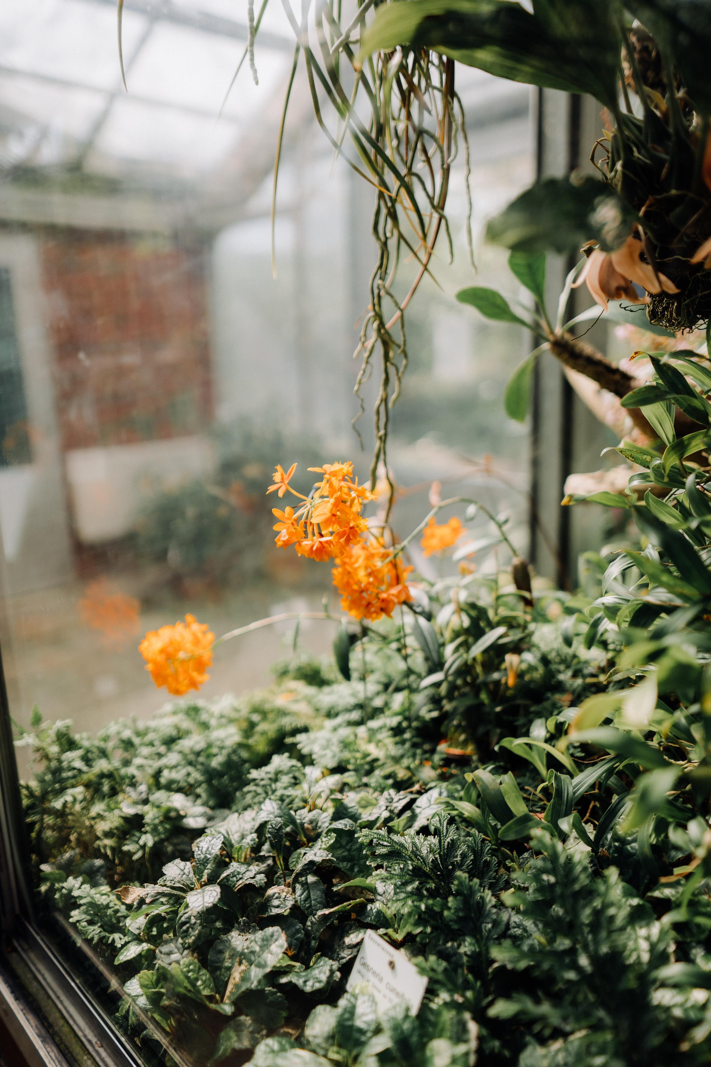 Nature. Фотограф в Праге Анна Лебедева