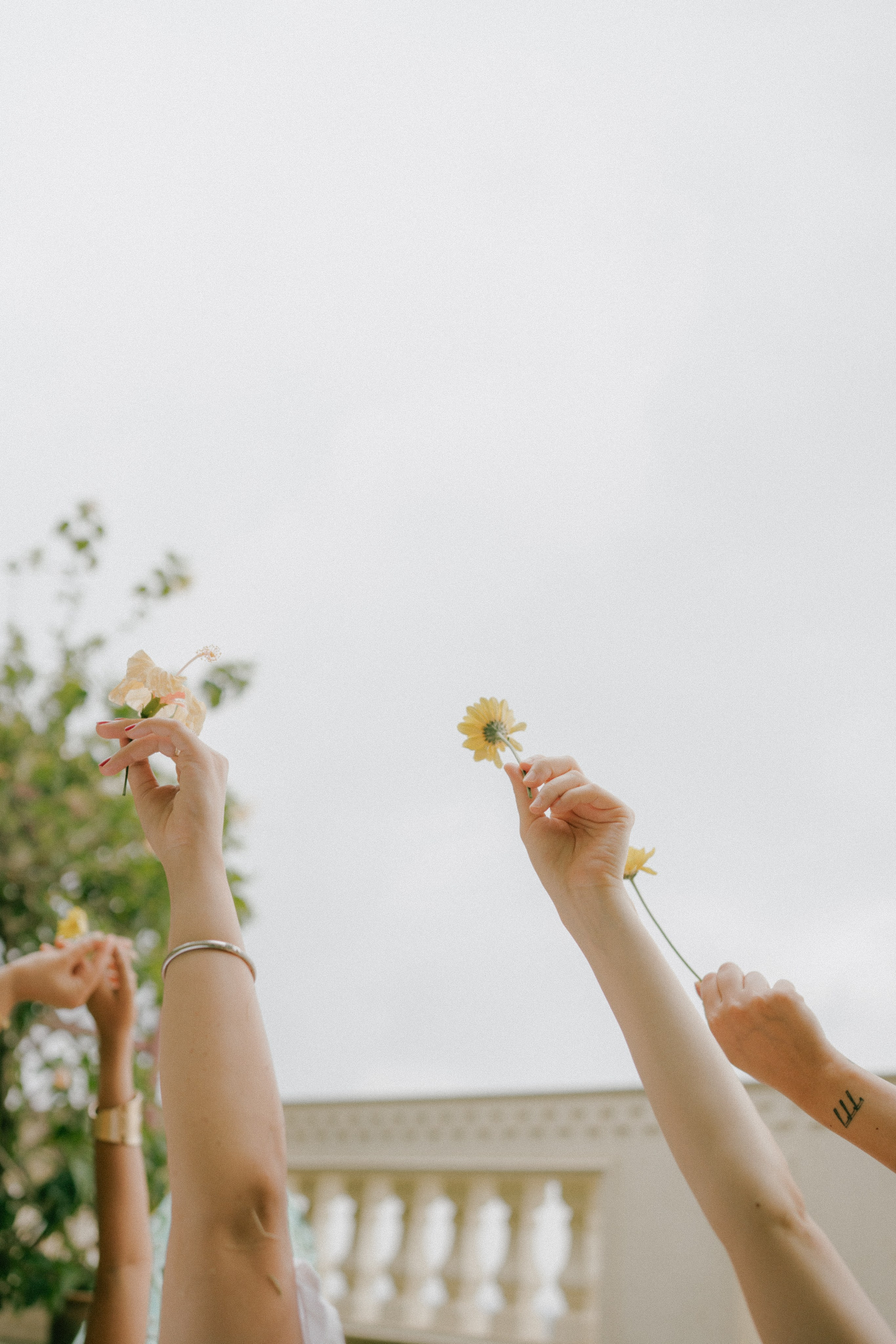 Bachelorette of Ayesha!. Fine art Wedding Photographers in India & Canada