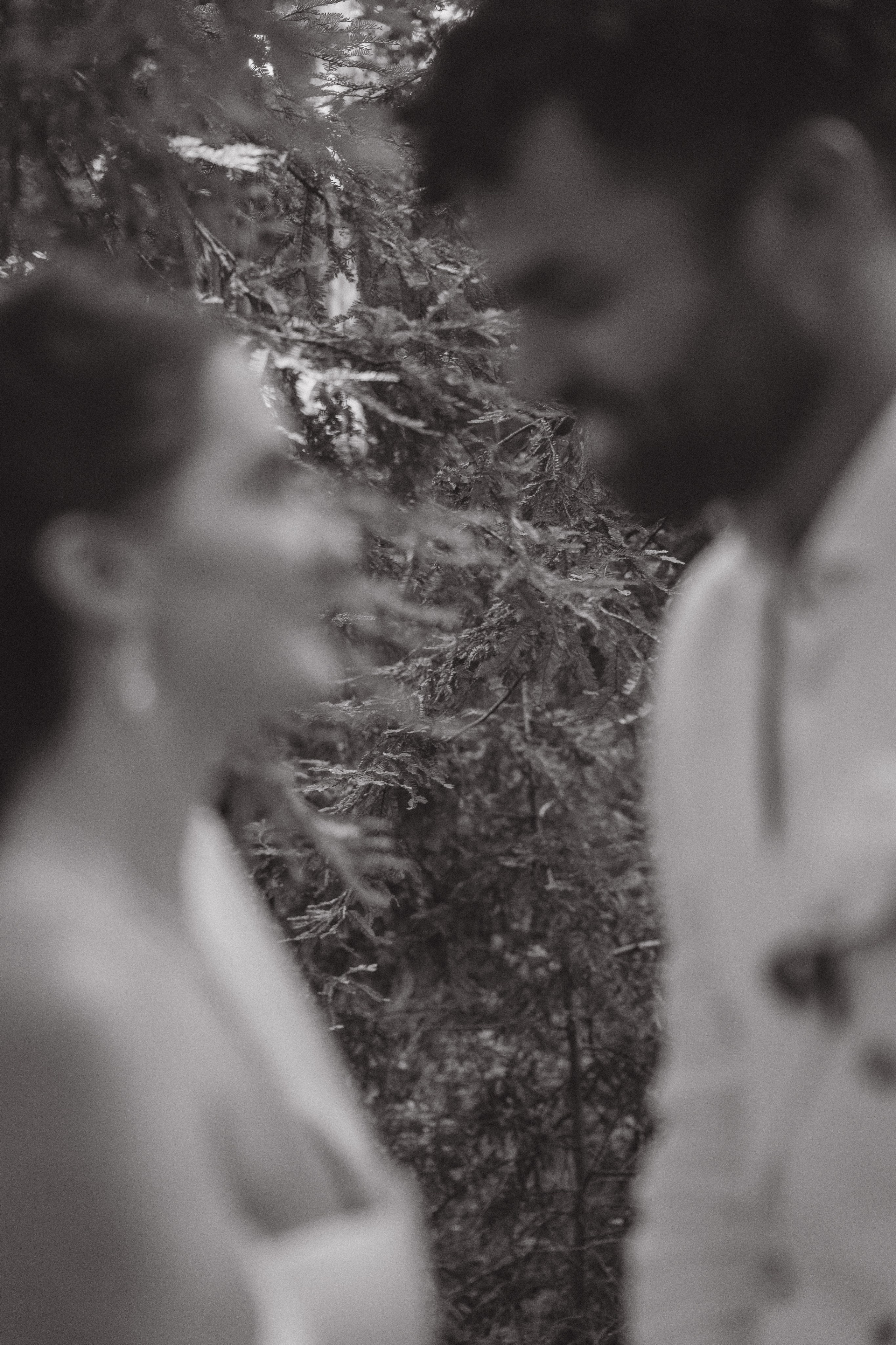 Wedding | San Francisco. San Francisco Wedding & Elopement Photographeк | photography_of.nadia