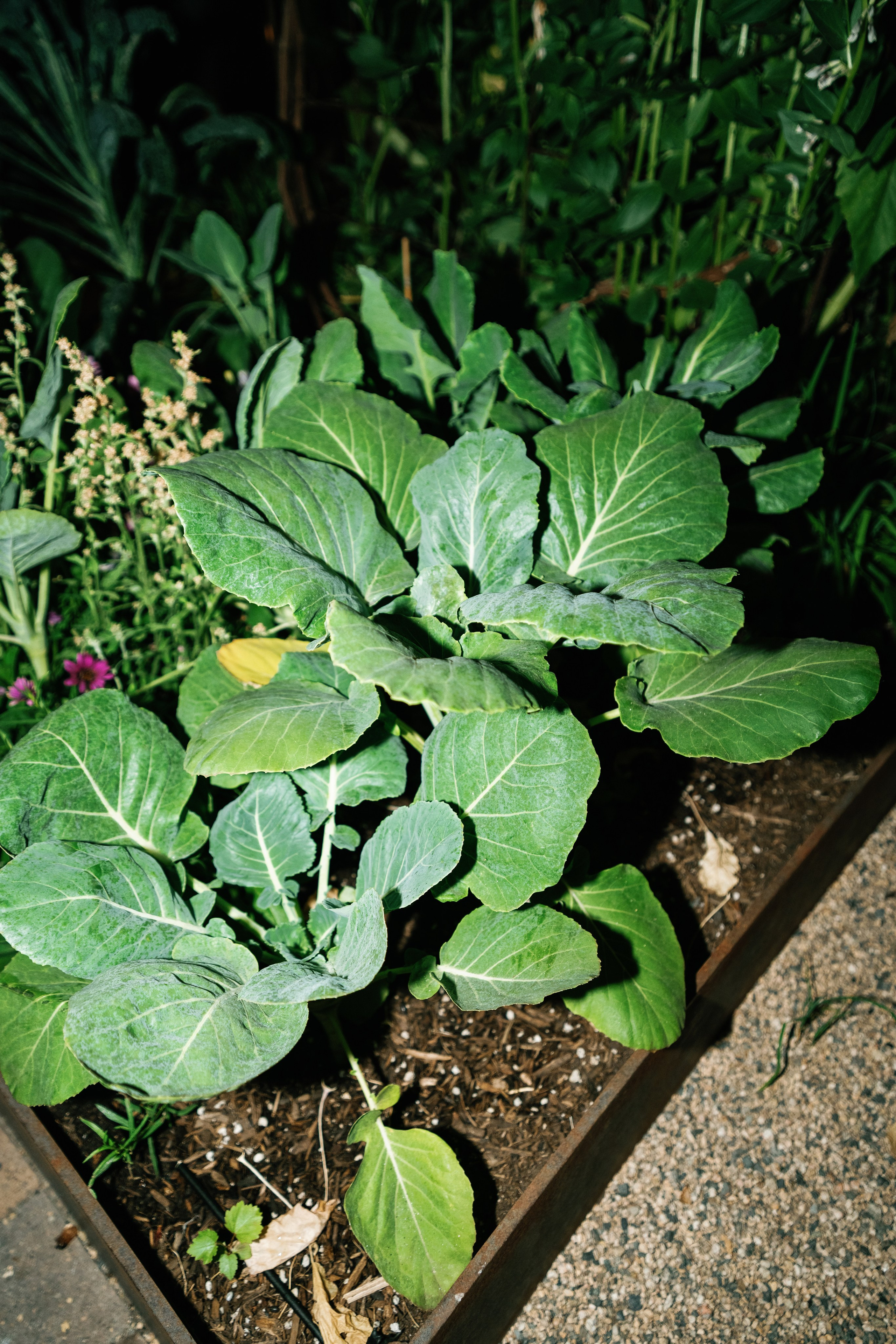 Wedding at Conrad Hotel Los Angeles. Wedding Photography & Videography Team in California, Los Angeles, San Francisco, San Diego and Travel