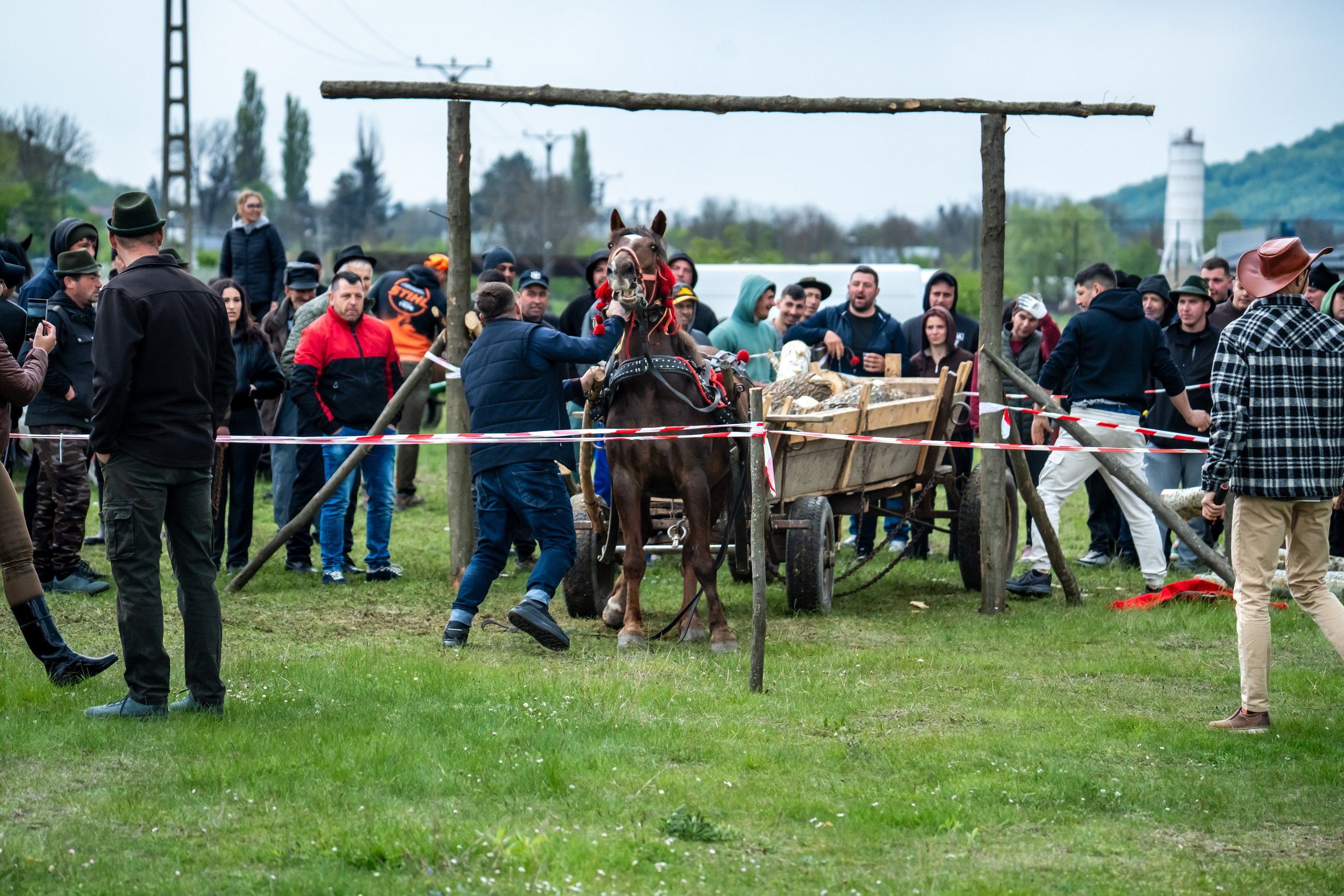 Concurs Ecvestru Vărbilău ediția a 4-a. Mihai Alexandra Events