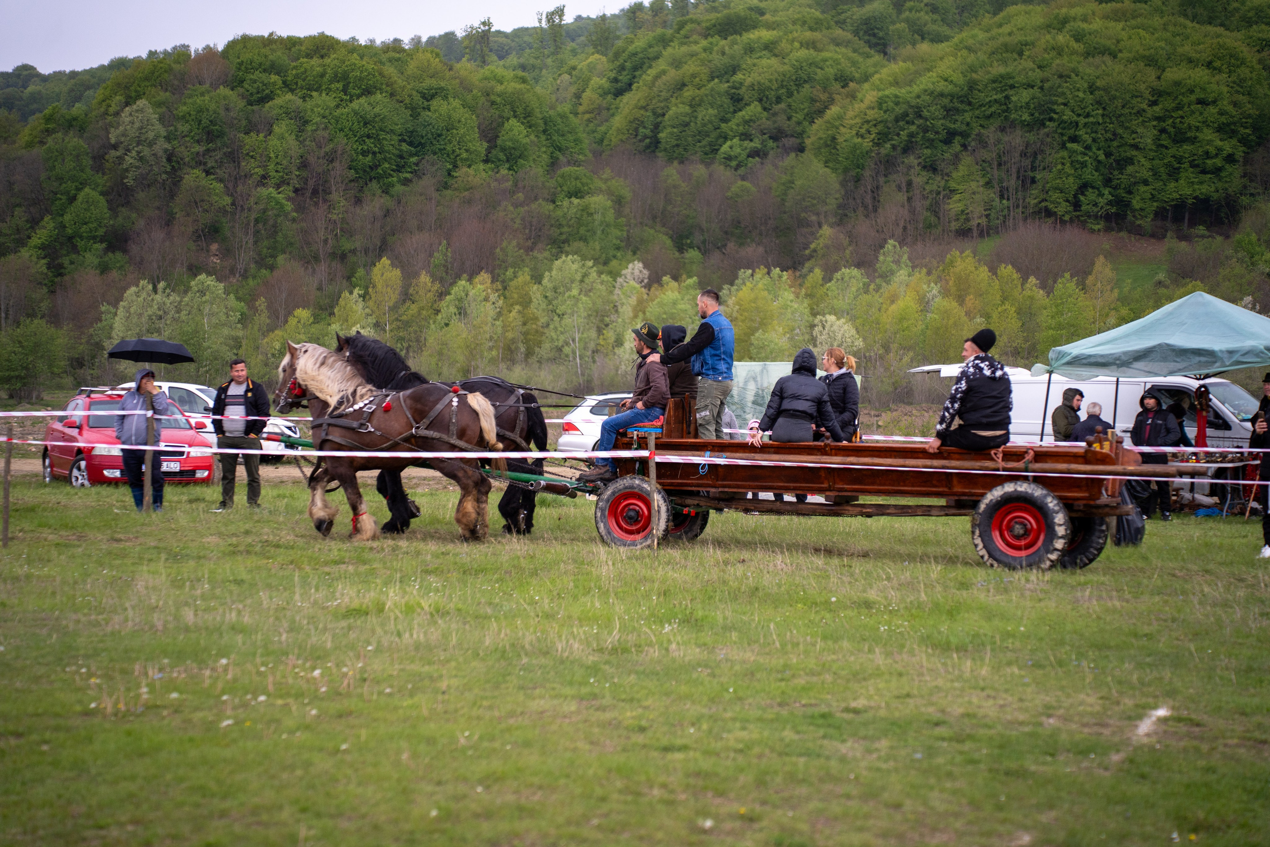 Concurs Ecvestru Vărbilău ediția a 4-a. Mihai Alexandra Events