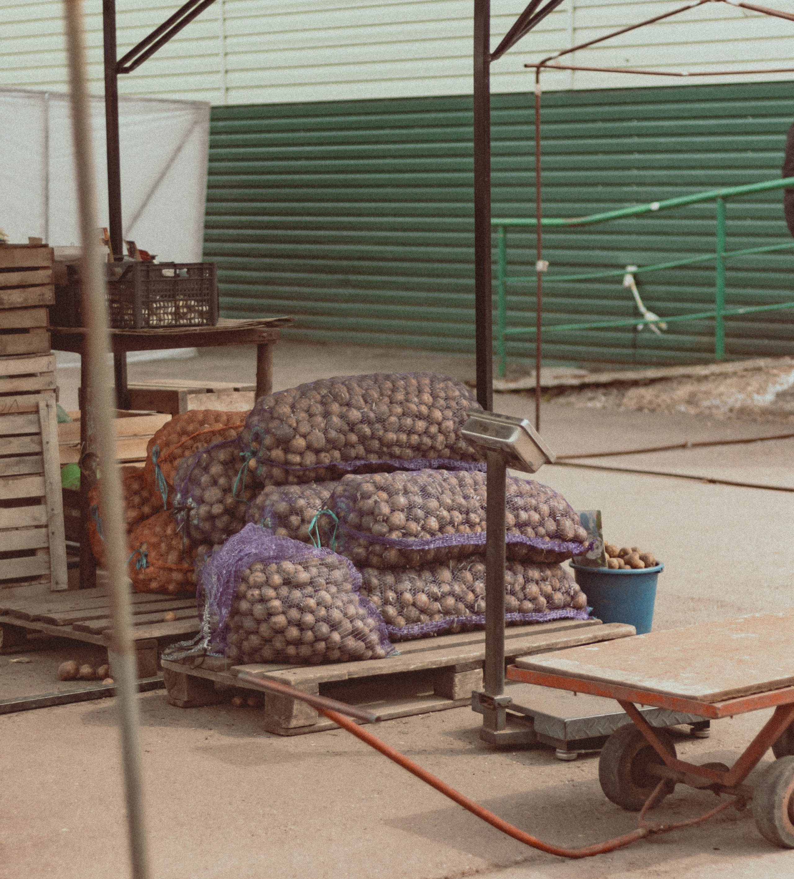 Mother Russia 22. Kseny Kolesnik Photography