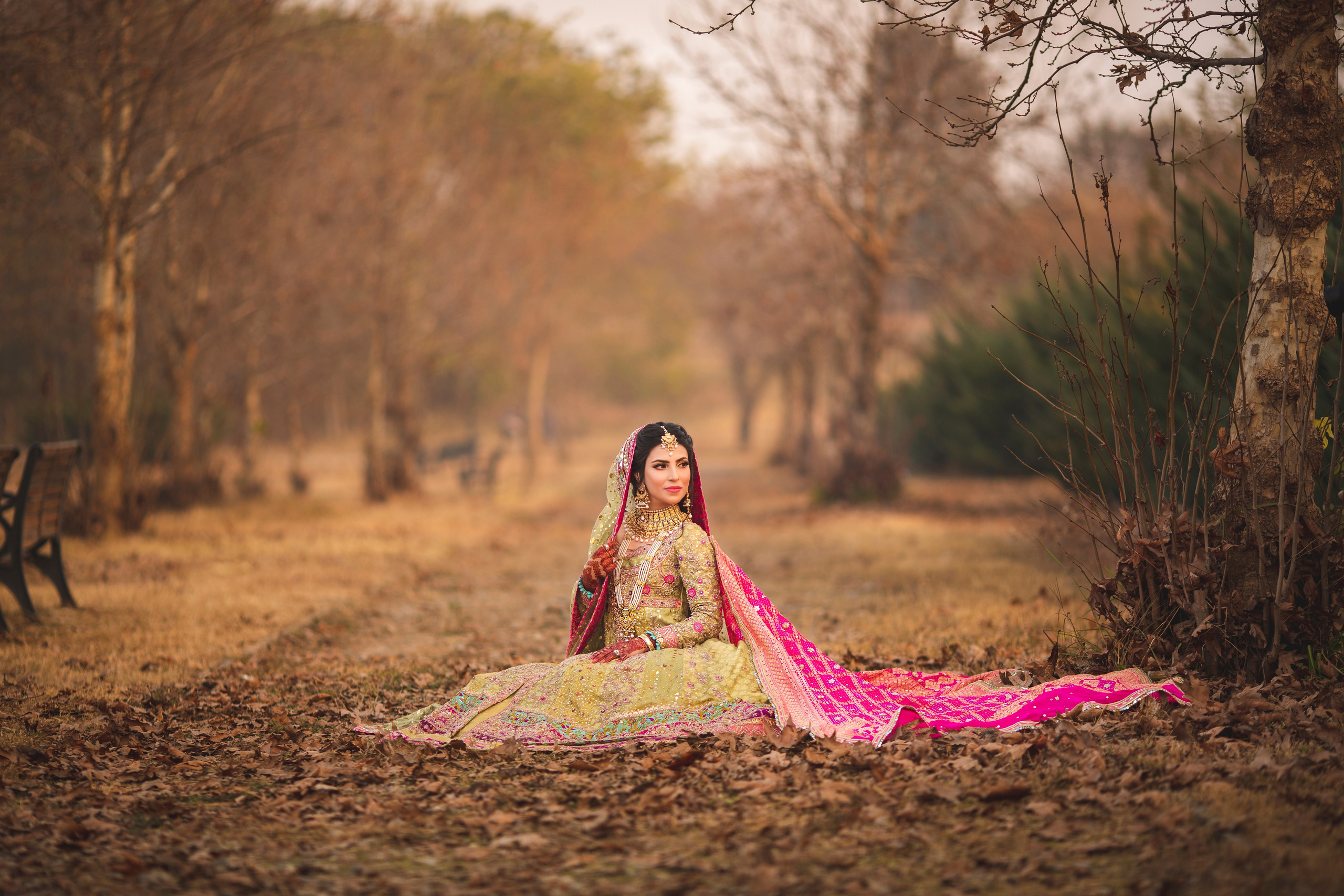 Portfolio. Chaar Bhai — Your Personal Family Historians