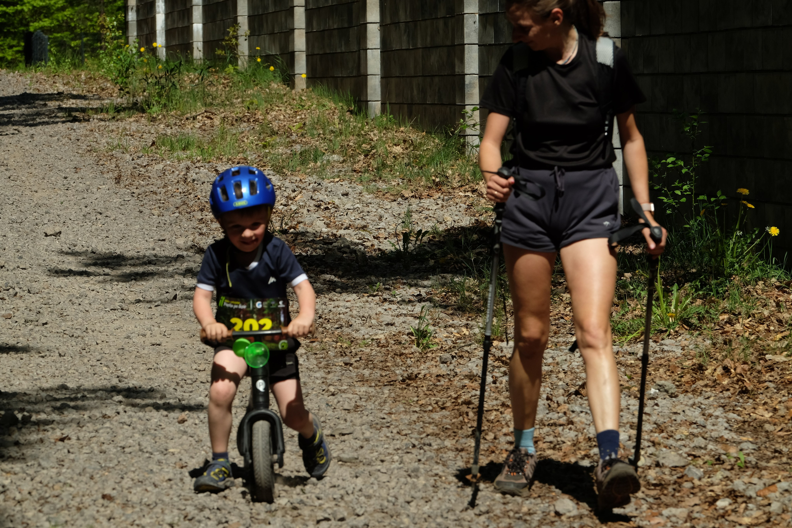 Aleksandryjska Piątka po lesie. Main