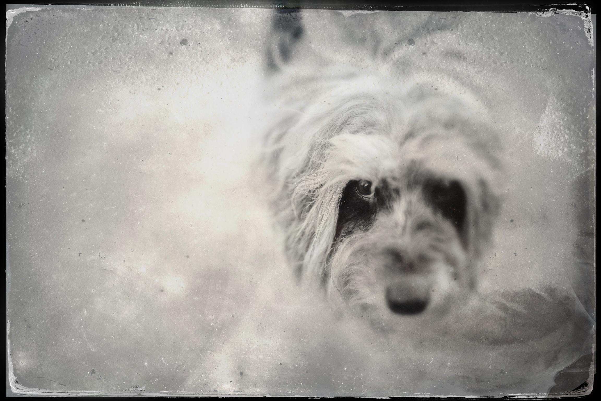 Craig & Cara — 7.1.2022 — Grand Ferry Park, New York. Emin Kuliyev — Award-Winning Wedding Photojournalist NYC & USA | Best Wedding Photographer Known for Candid, Timeless Moments