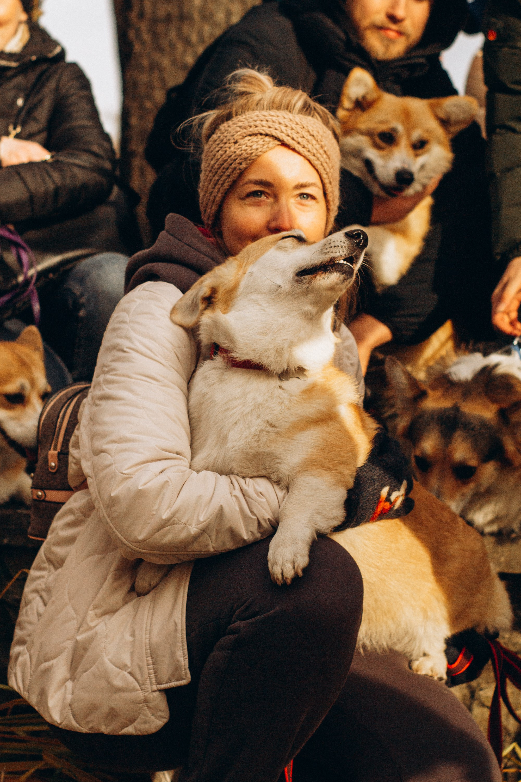 Corgi party, october. Kat Laisaar — Pet photographer in Tallinn