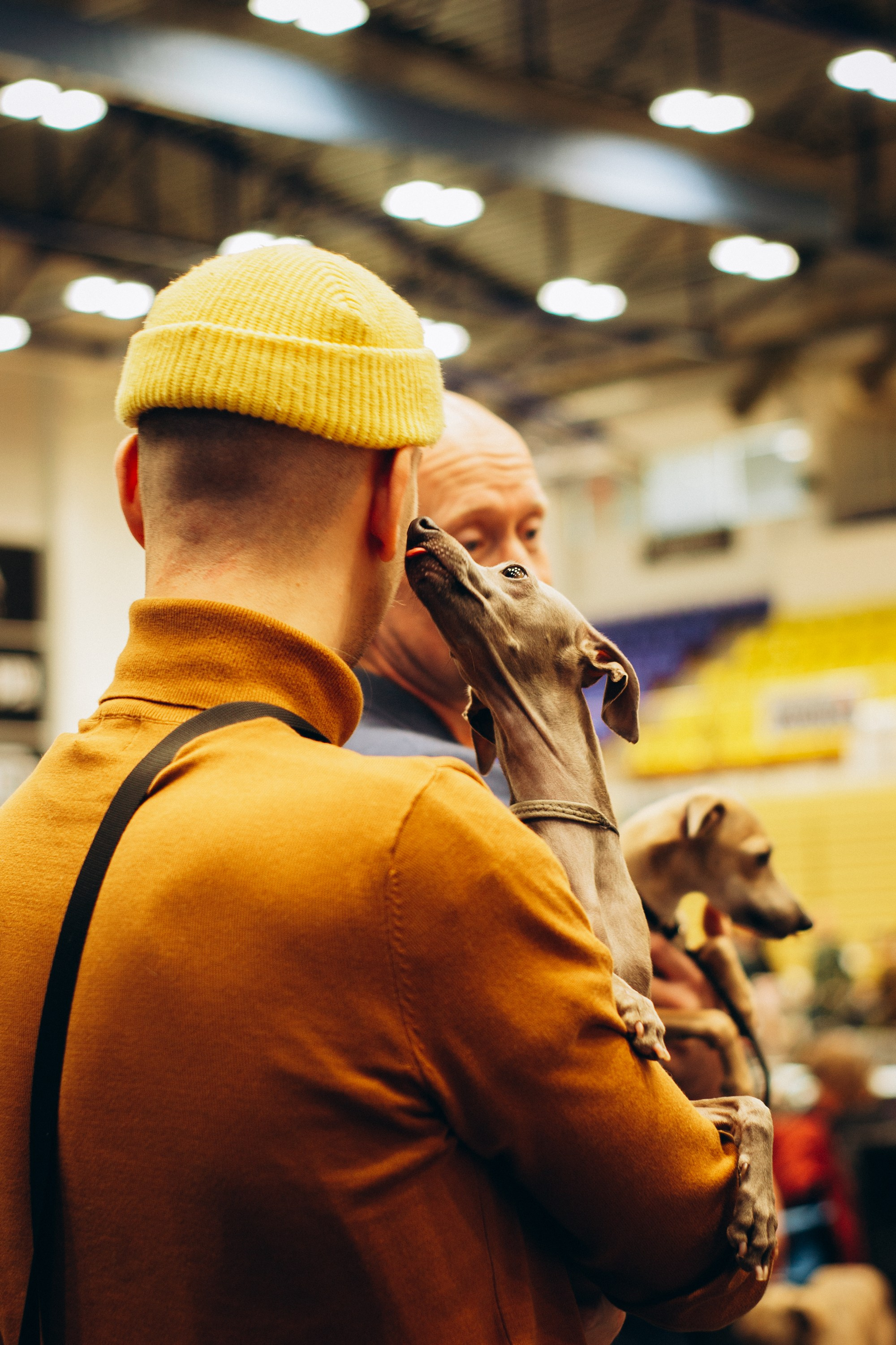 Rakvere Dog Show. Kat Laisaar — Pet photographer in Tallinn