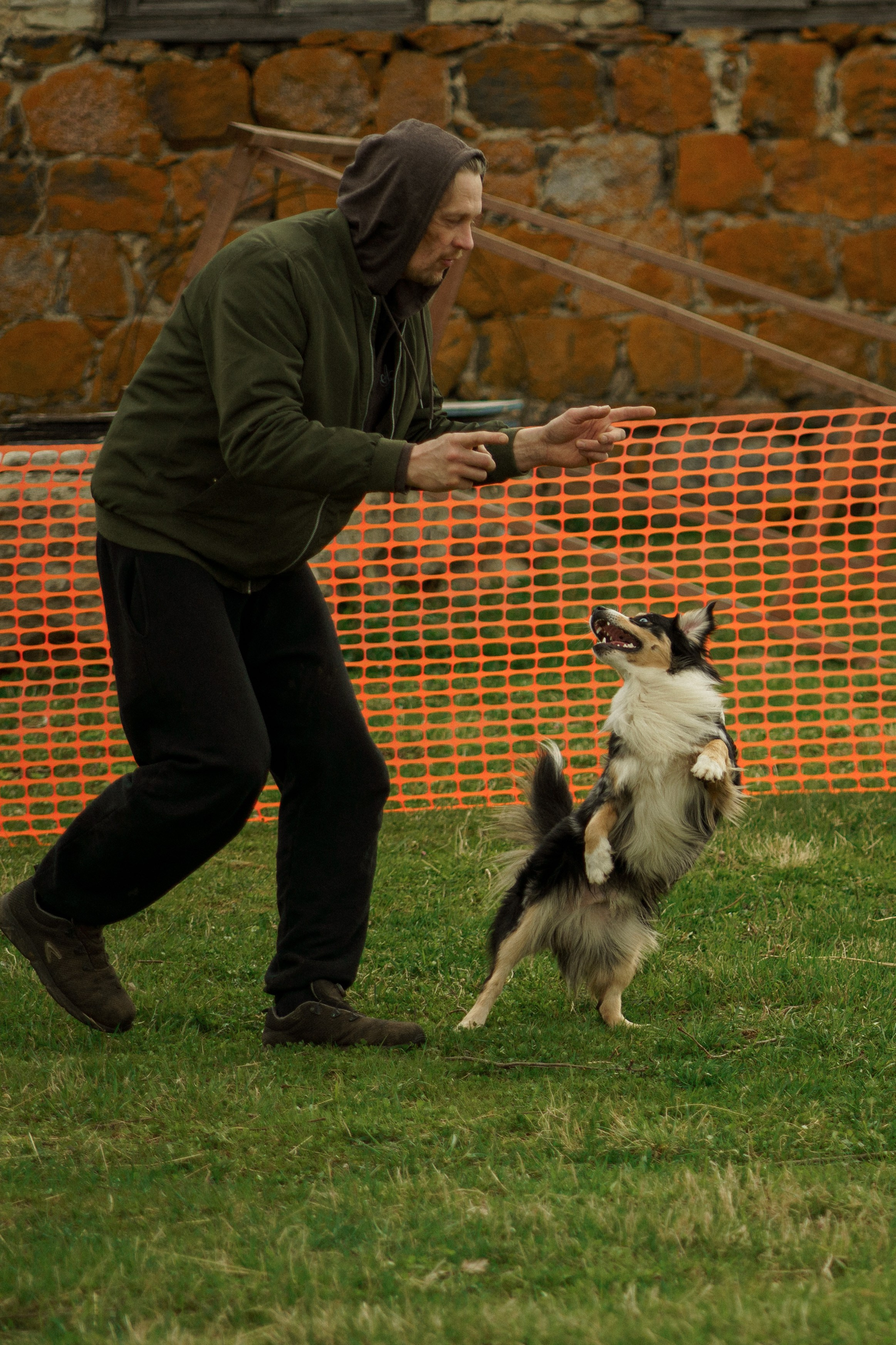 Herding Days, 26 apr. 2025. Kat Laisaar — Pet photographer in Tallinn