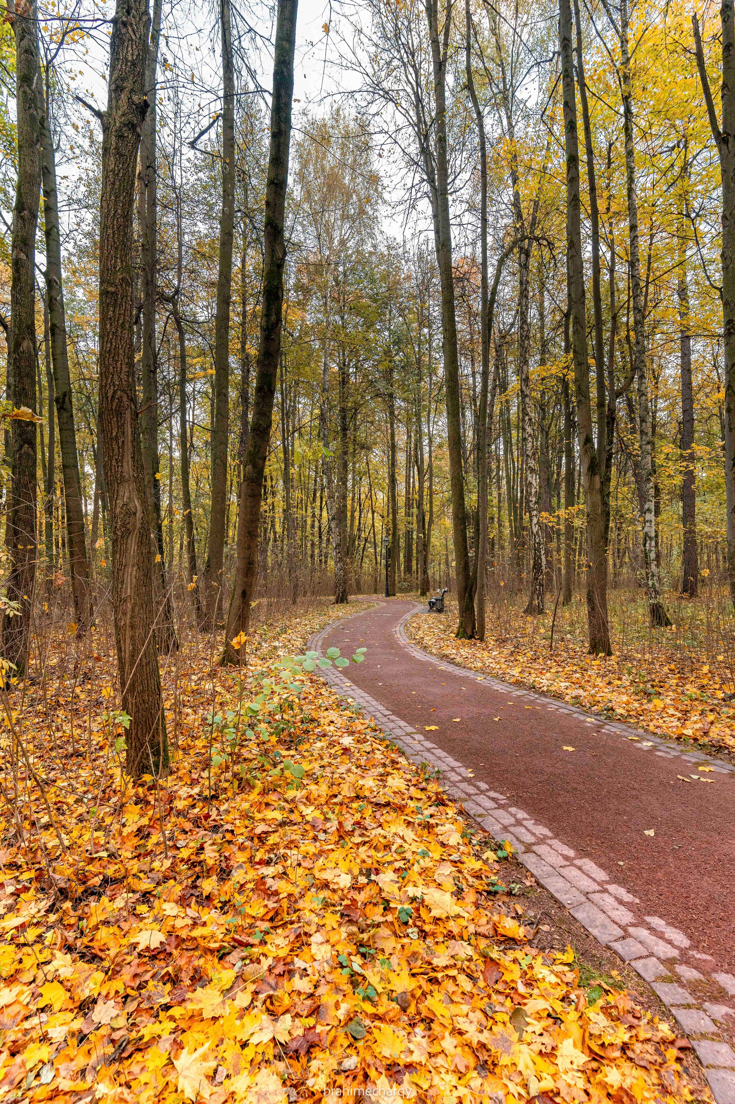 Фото. Брахим — фотограф