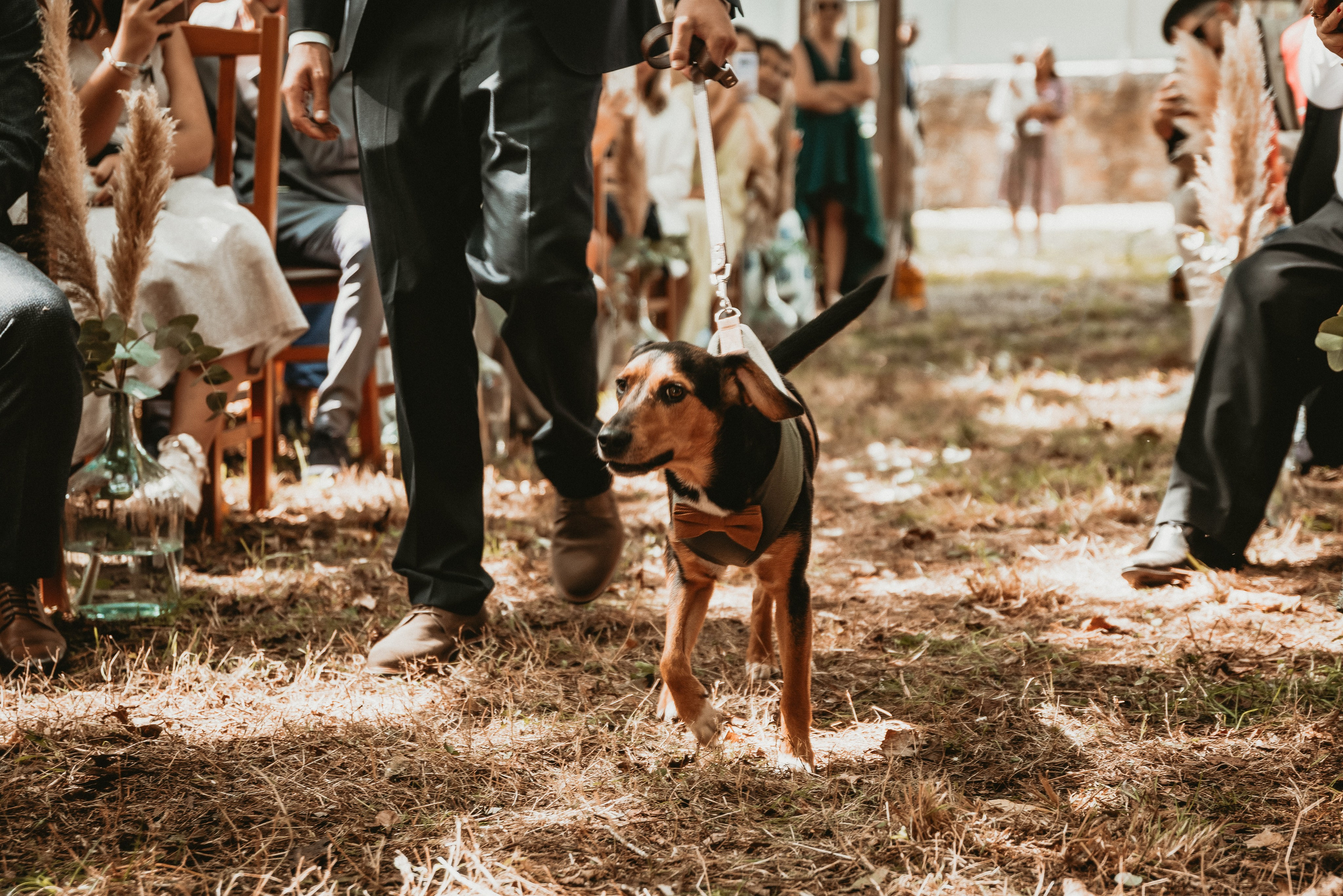 São & Luís. Fotógrafa de Casamentos e Família em Braga — Alexandra Mieres Photography