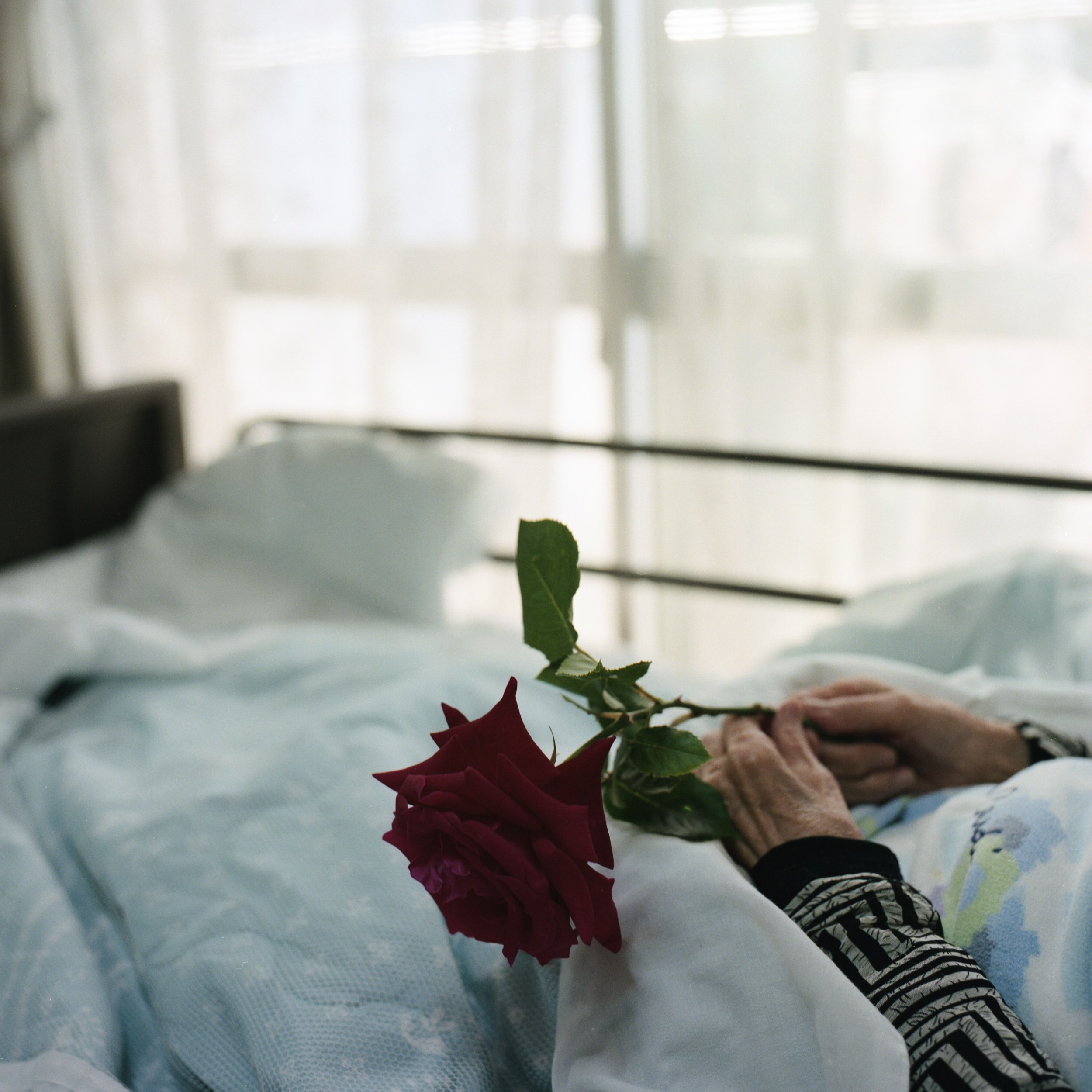 祖母とのヴァナキュラー. MT