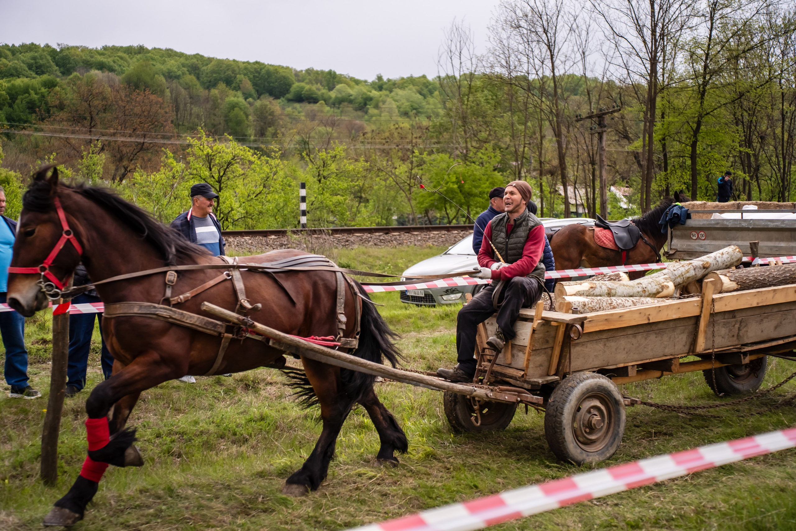 Concurs Ecvestru Vărbilău ediția a 4-a. Mihai Alexandra Events