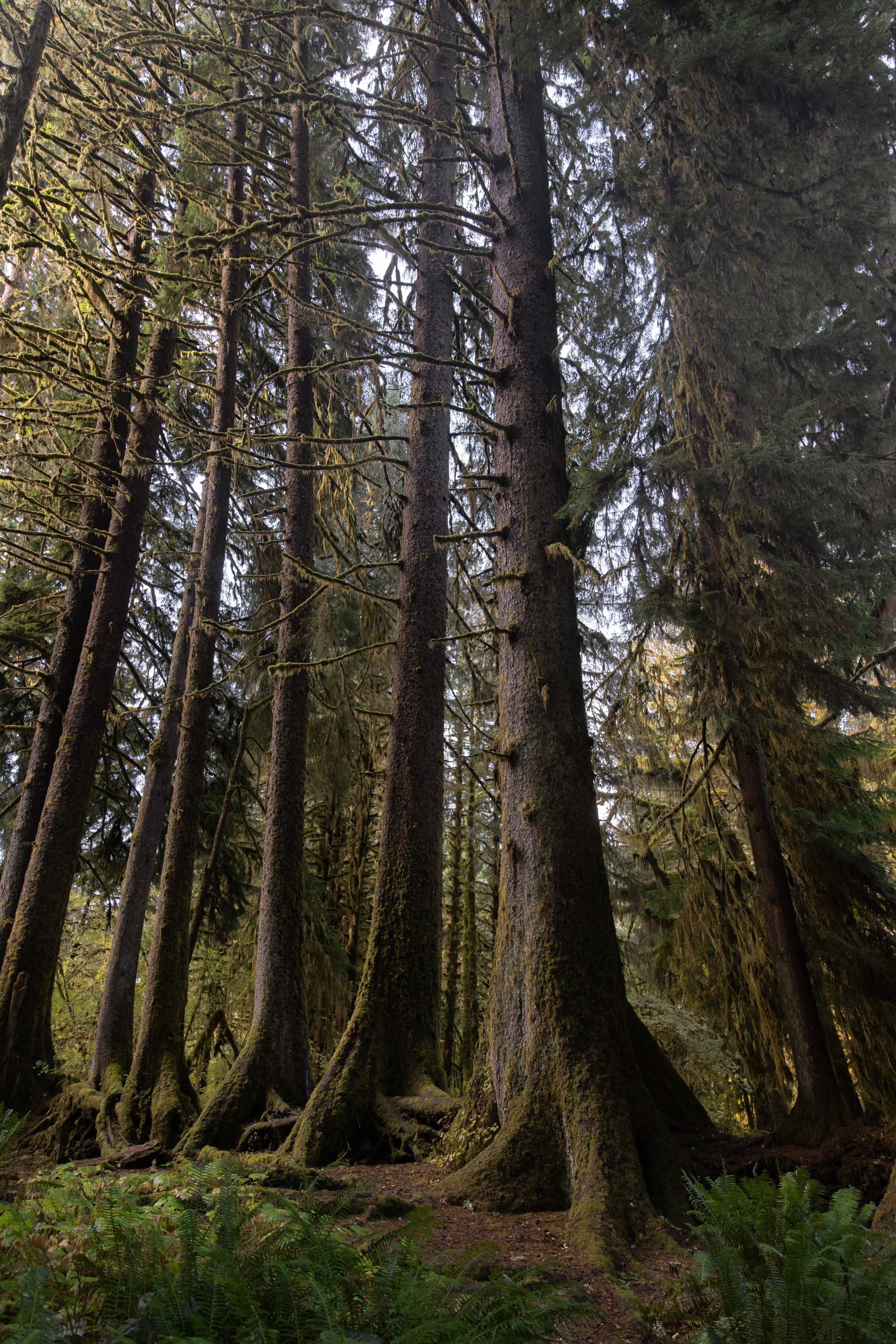 Twilight | Wallpapers. Photographer in Los Angeles. Julia Ishmuratova