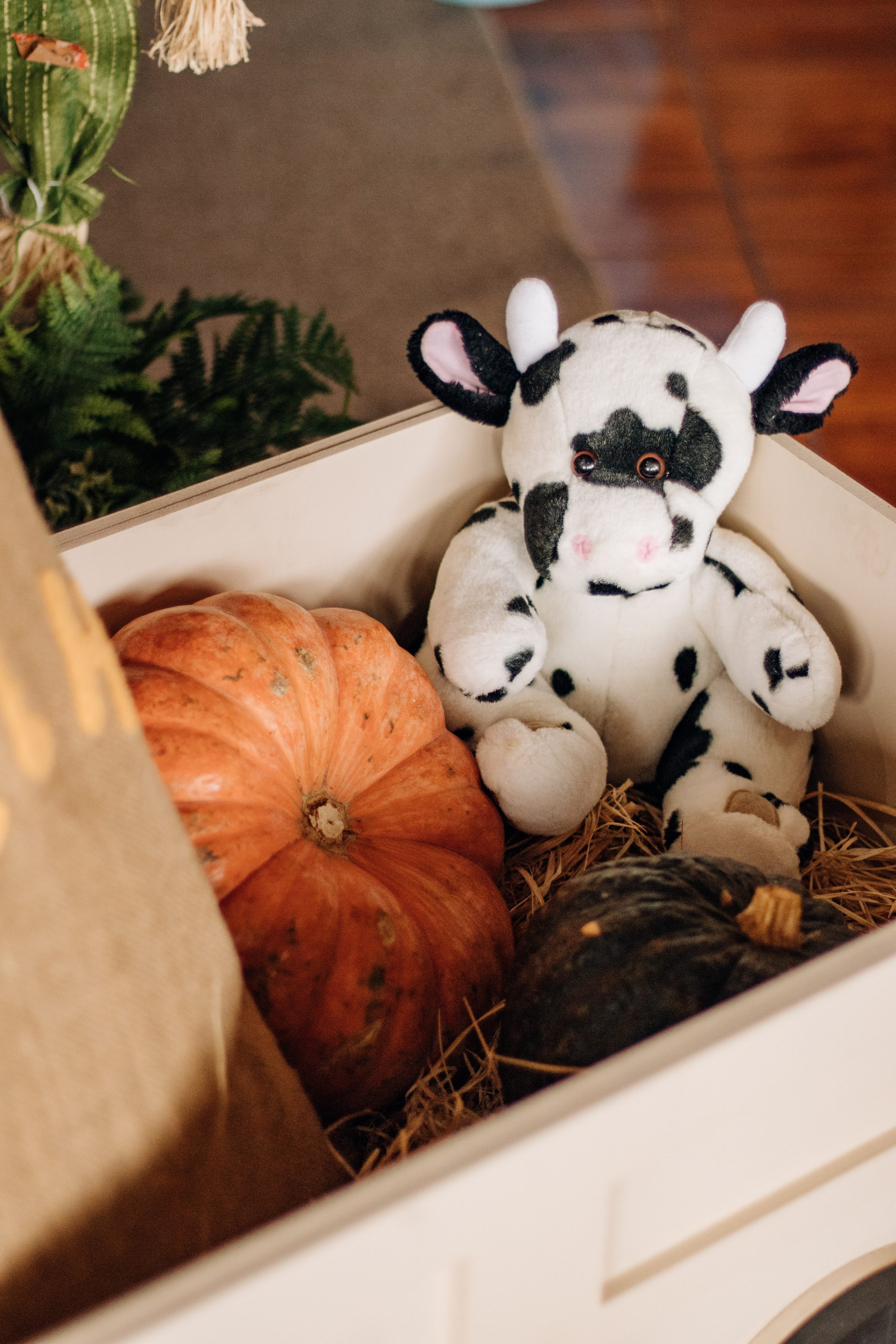 Gustavo — Aniversário 1 ano. Principal