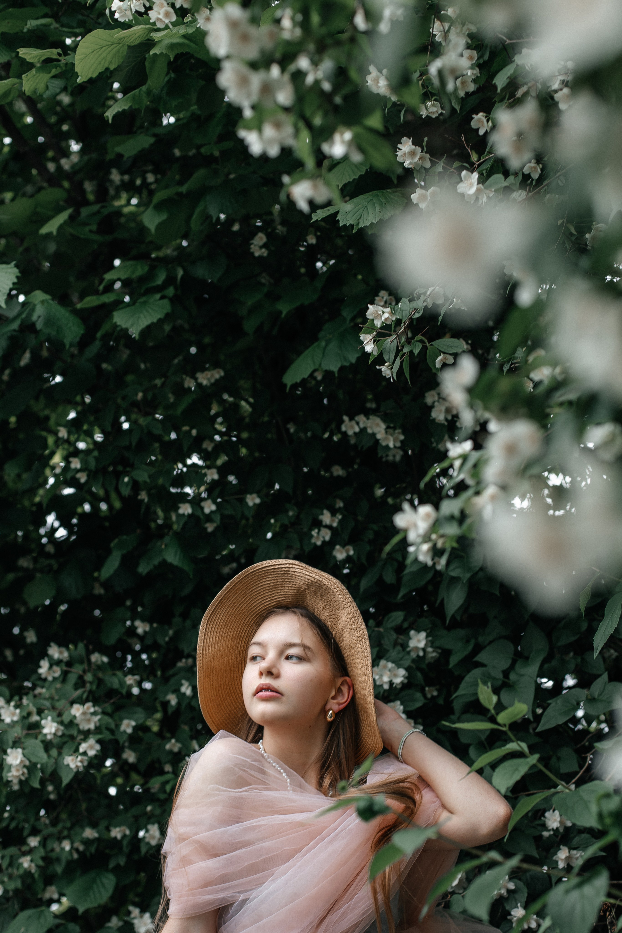 Foto in Jasmin. PHOTOgrapher Germany MARBURG