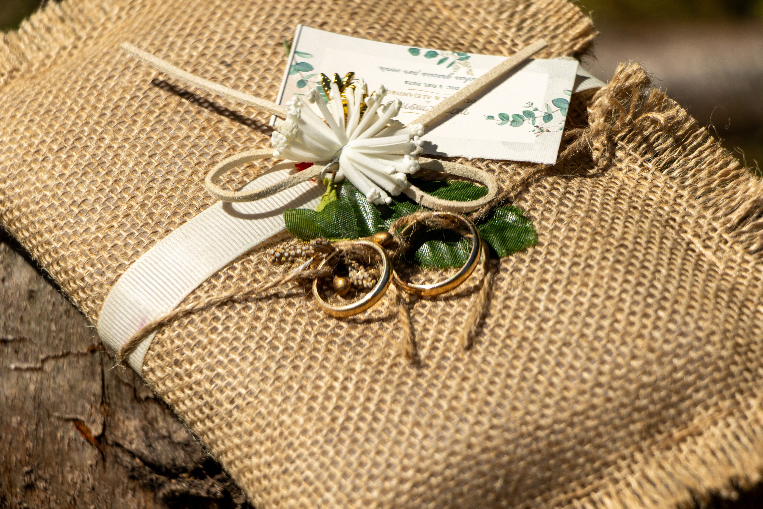 Denisse y Alejandro. Dinka & Emilio — Fotografia e Vídeo