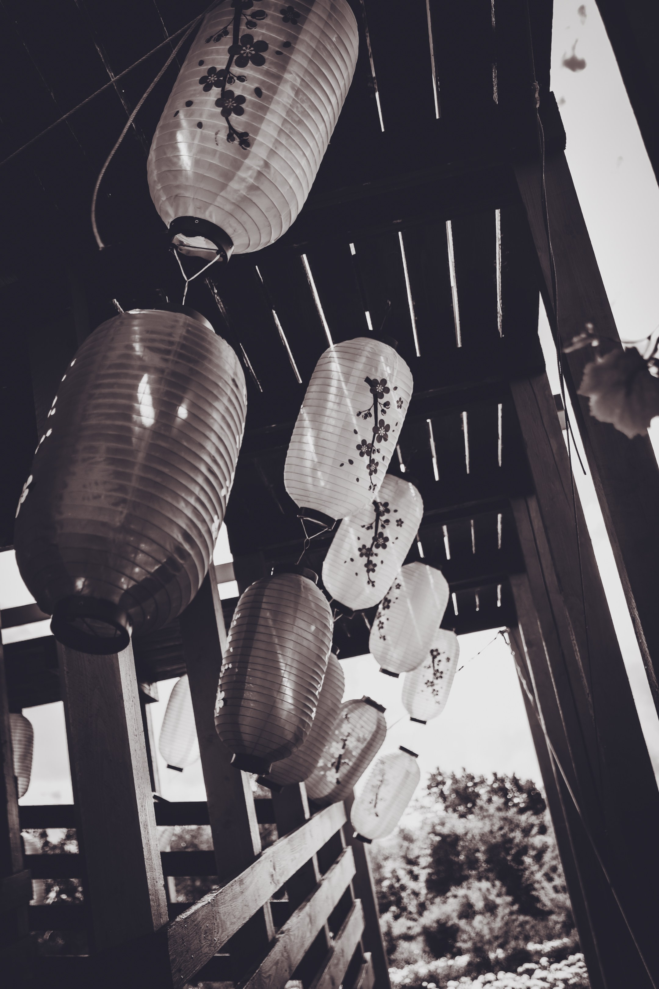 Saarema, reis. Nebula 25 — Fotod teie hingele