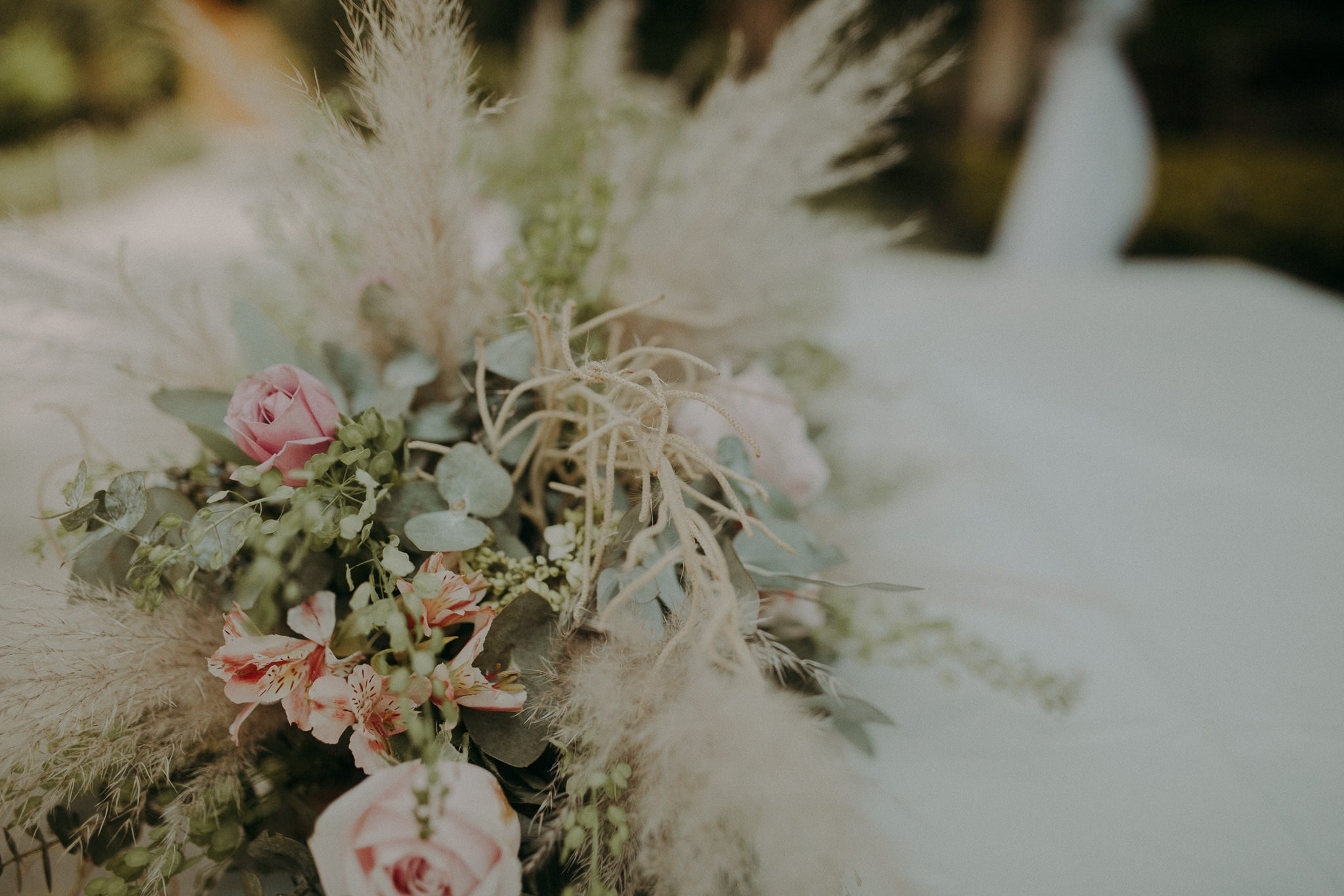 Sol & Cesar. Wedding and family photographer in Mexico City