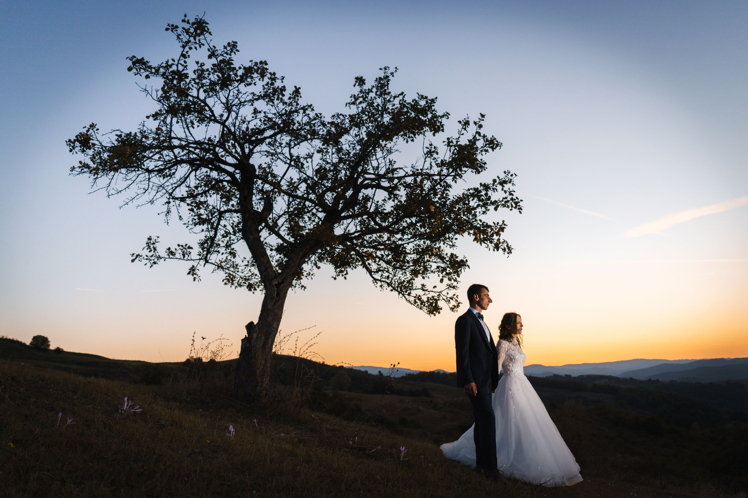 Fotografie de Nuntă. Foto-Video Nunta Iasi, Suceava, Bucuresti / Disponibilitate 2025 — 2026 — 2027