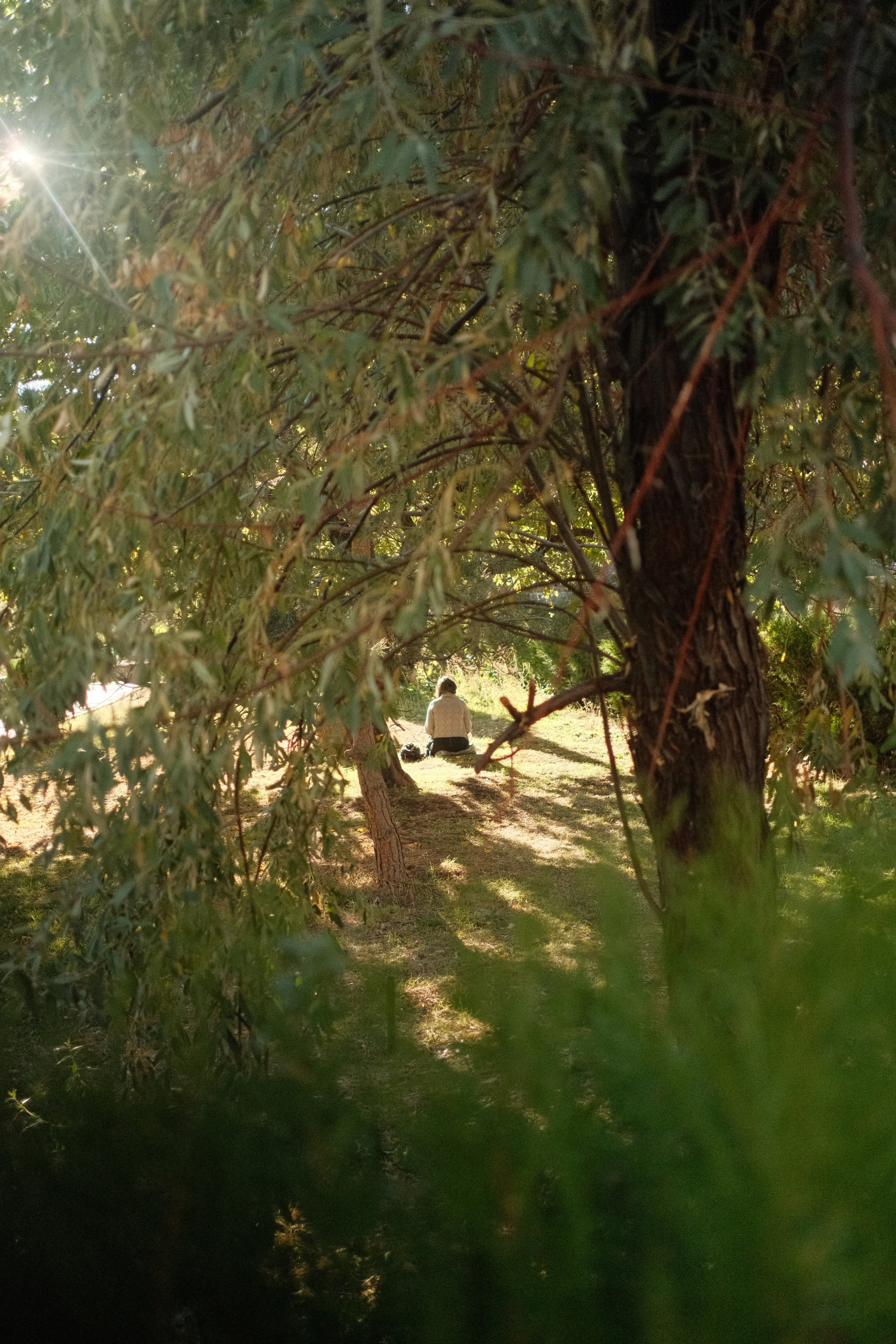 Armenia. Portrait and Lifestyle Photographer in Vienna — Nick Pavlov