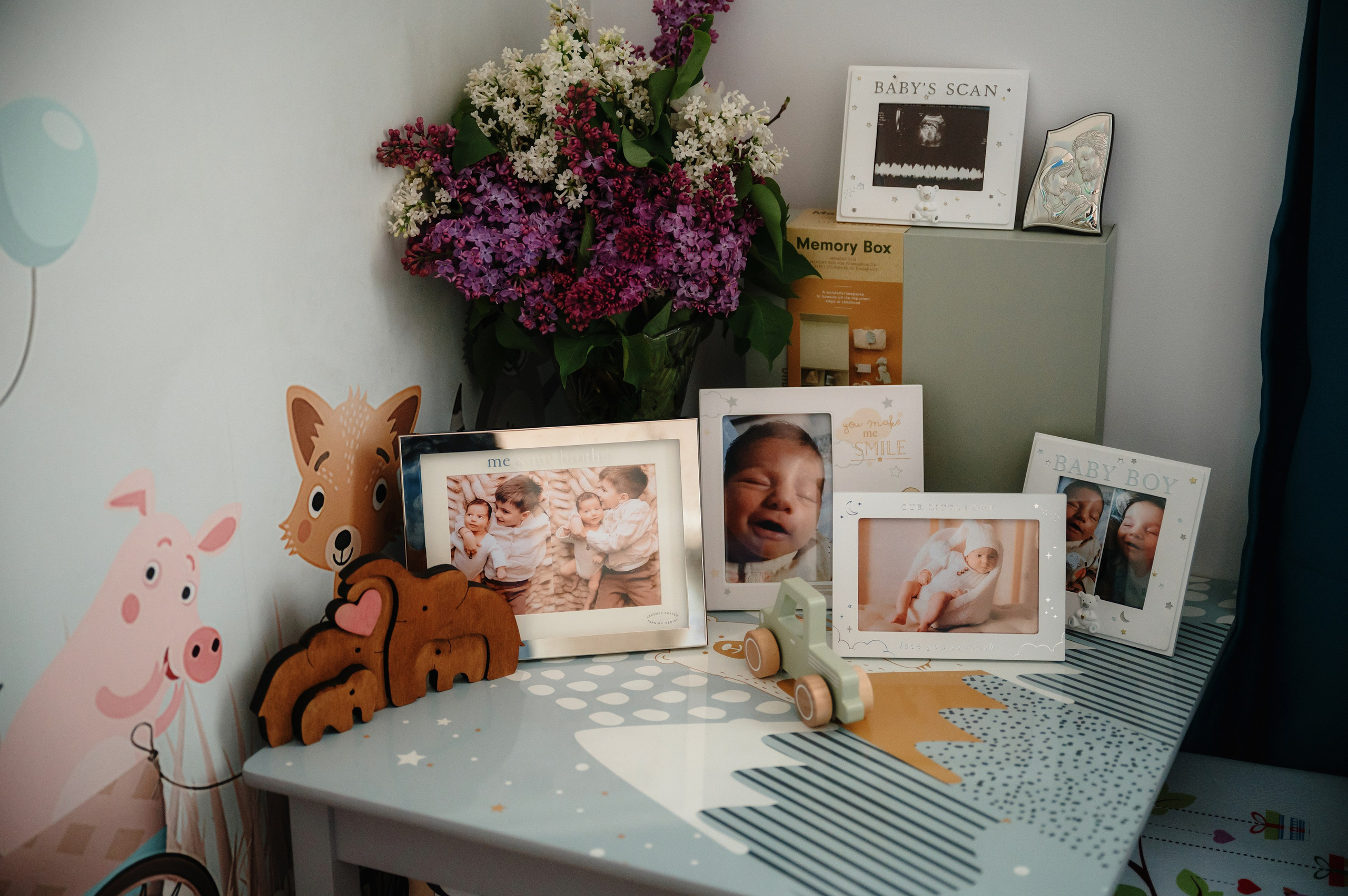 Povestea lui Vladimir. Laurentiu Stefan StoryTeller