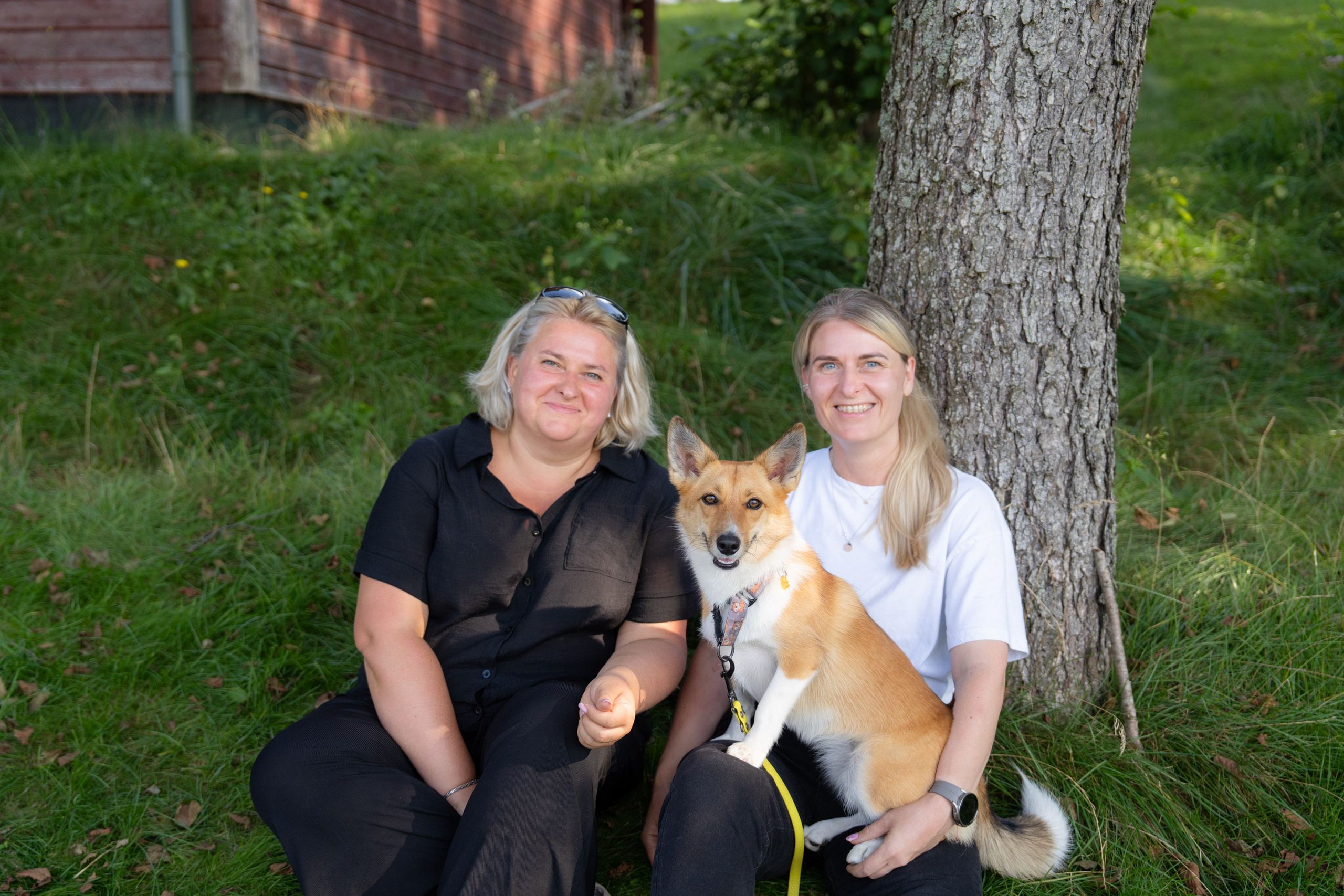 Heppi Dogo fest 2025. Vita Klimaševska ○ Fluffy Soulmate Photography