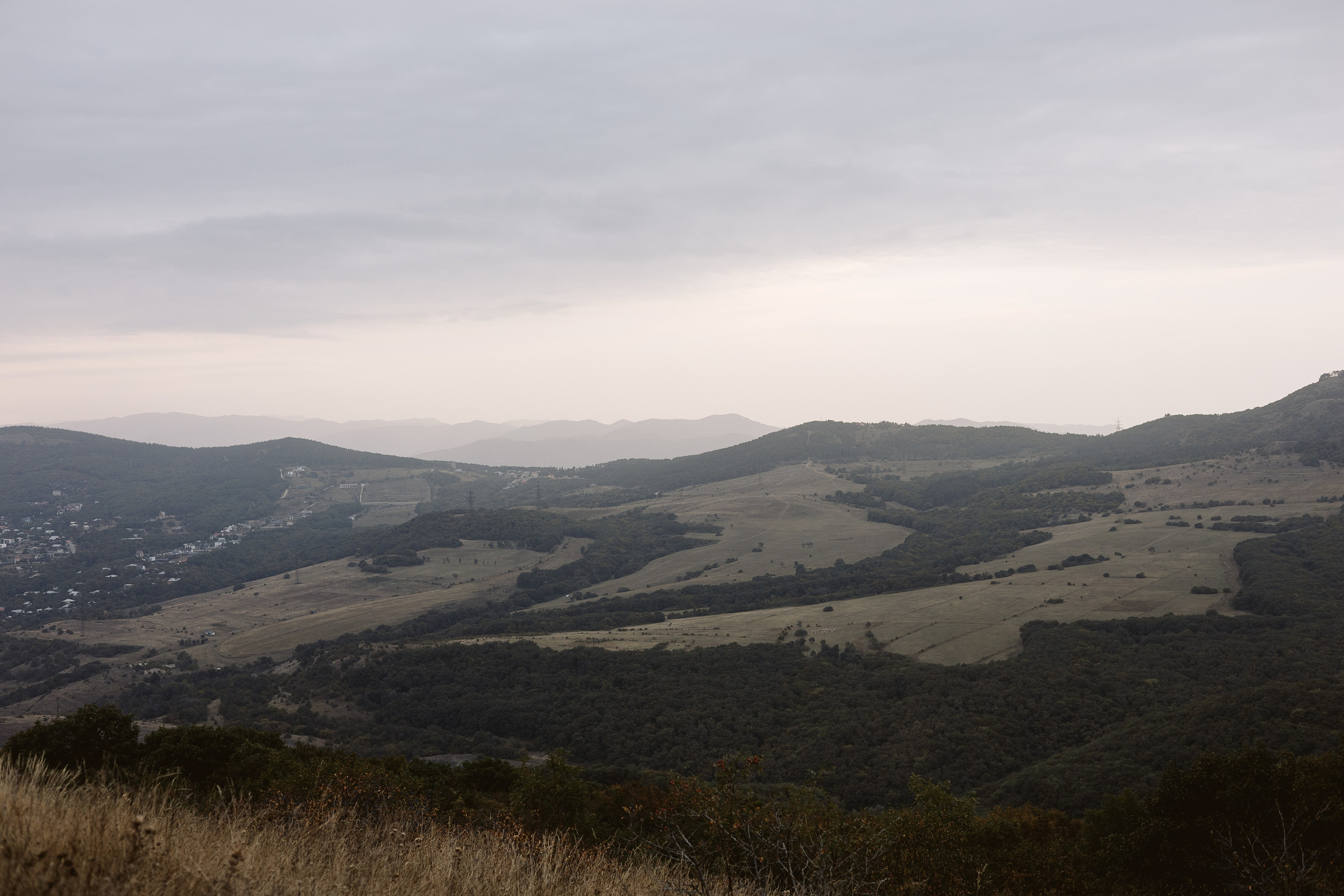 Sofi & Andrey. Photographer Anna Nazarenko