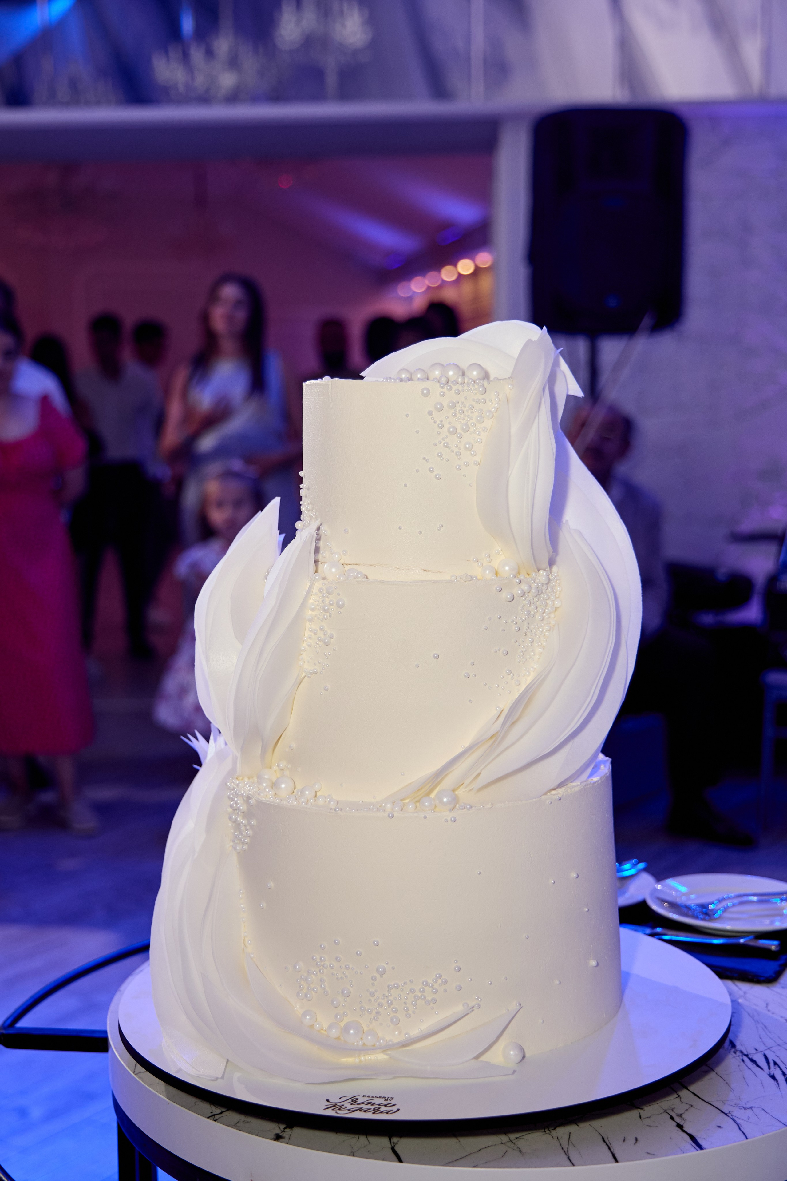 VICTOR & GABI | Villa Garden 2024