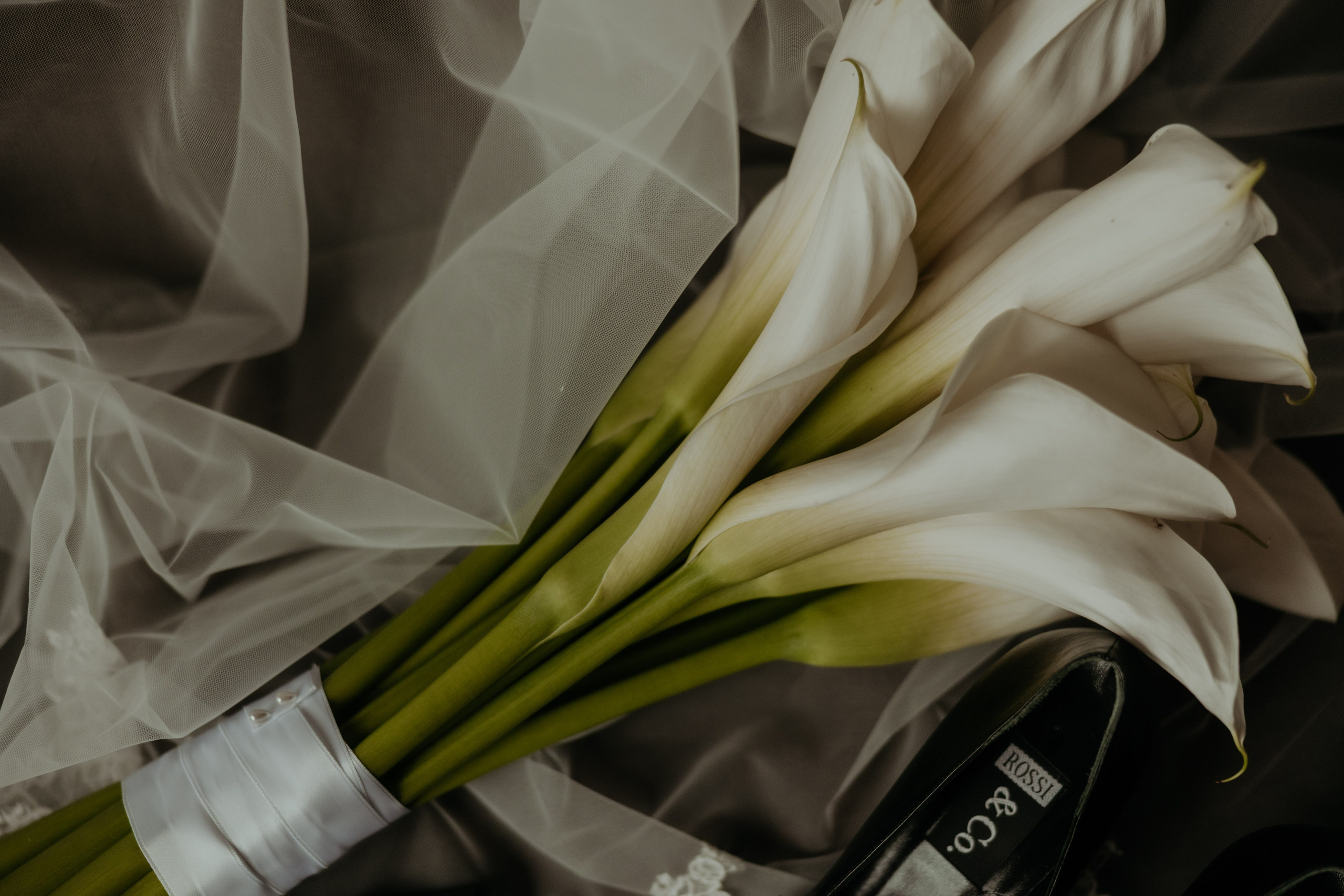 Andrei&Iuliana Styleshoot 2026. Wedding Photographer Rares Patriche | Romania