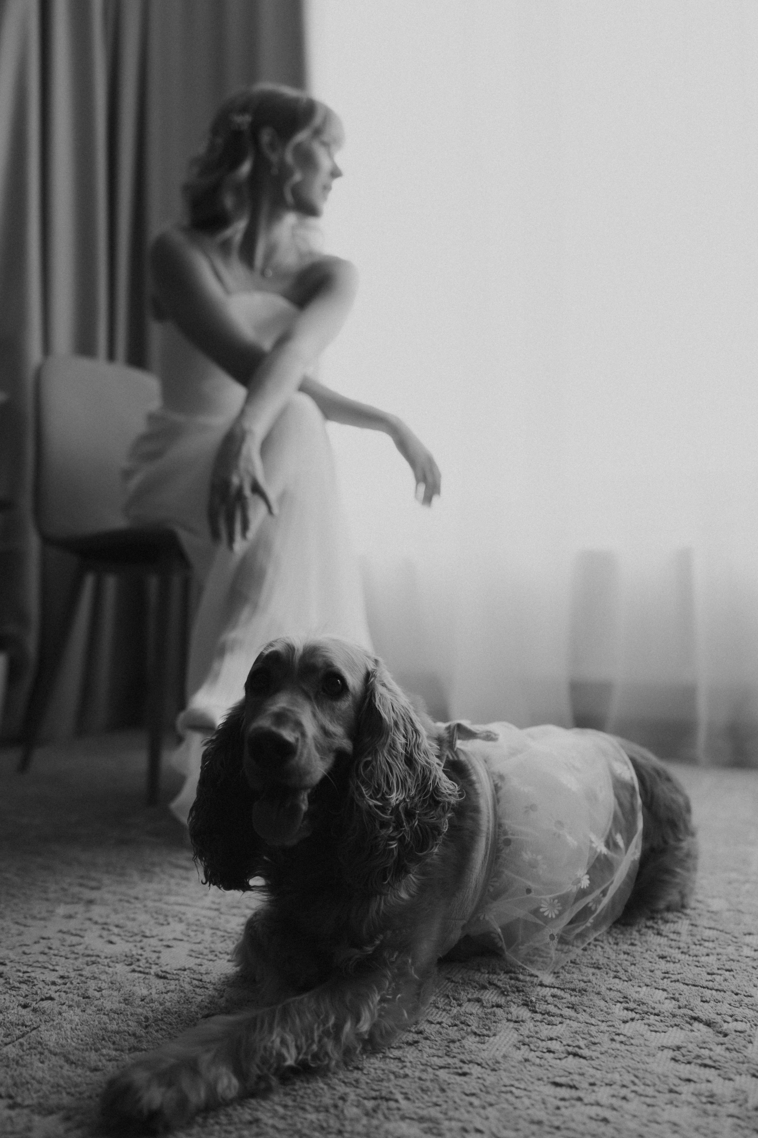 Radu&Oana. Wedding Photographer Rares Patriche | Romania