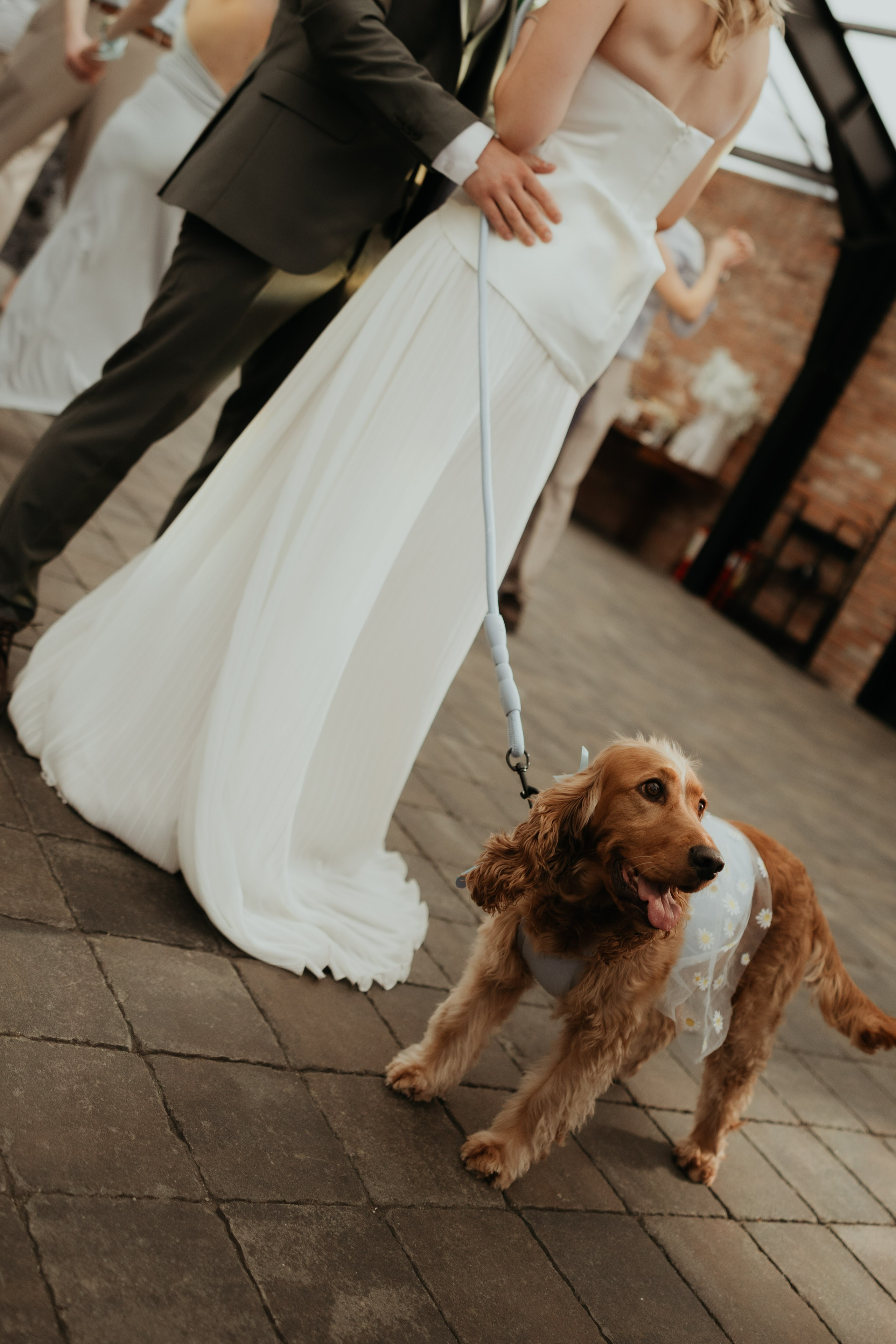 Radu&Oana. Wedding Photographer Rares Patriche | Romania