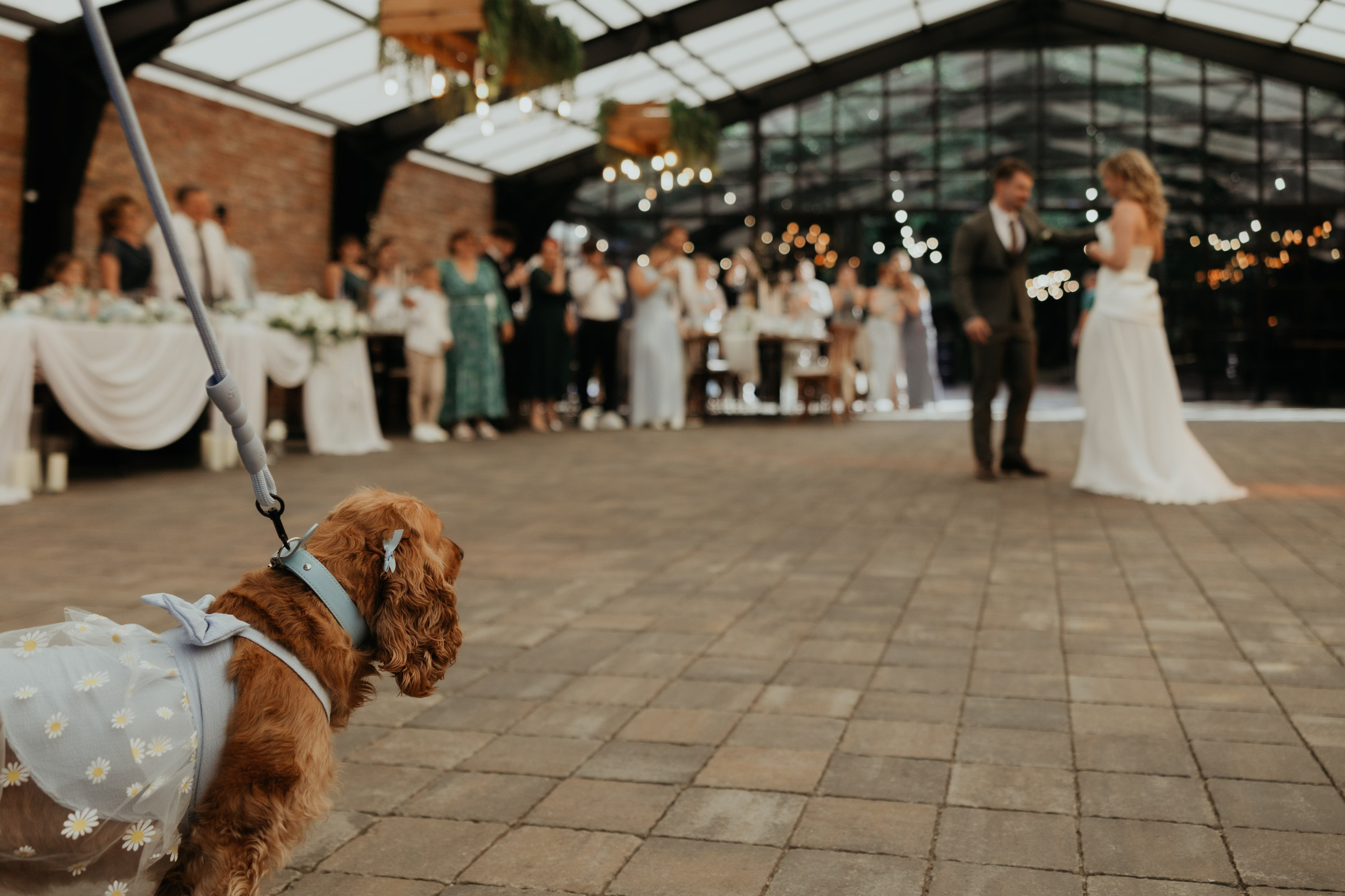 Radu&Oana. Wedding Photographer Rares Patriche | Romania