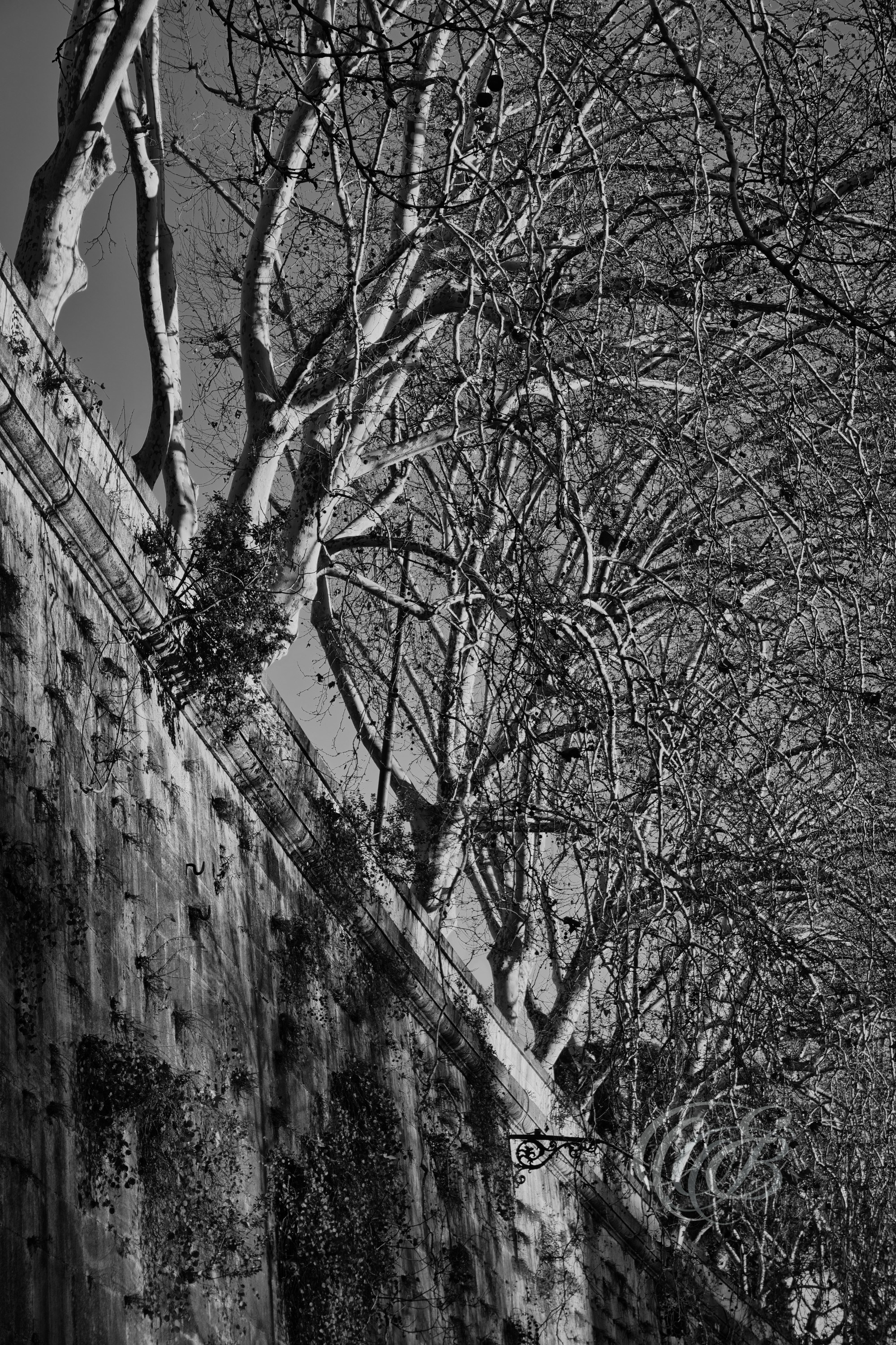 Projects. Eduardo Bartoli Fine Art Photography