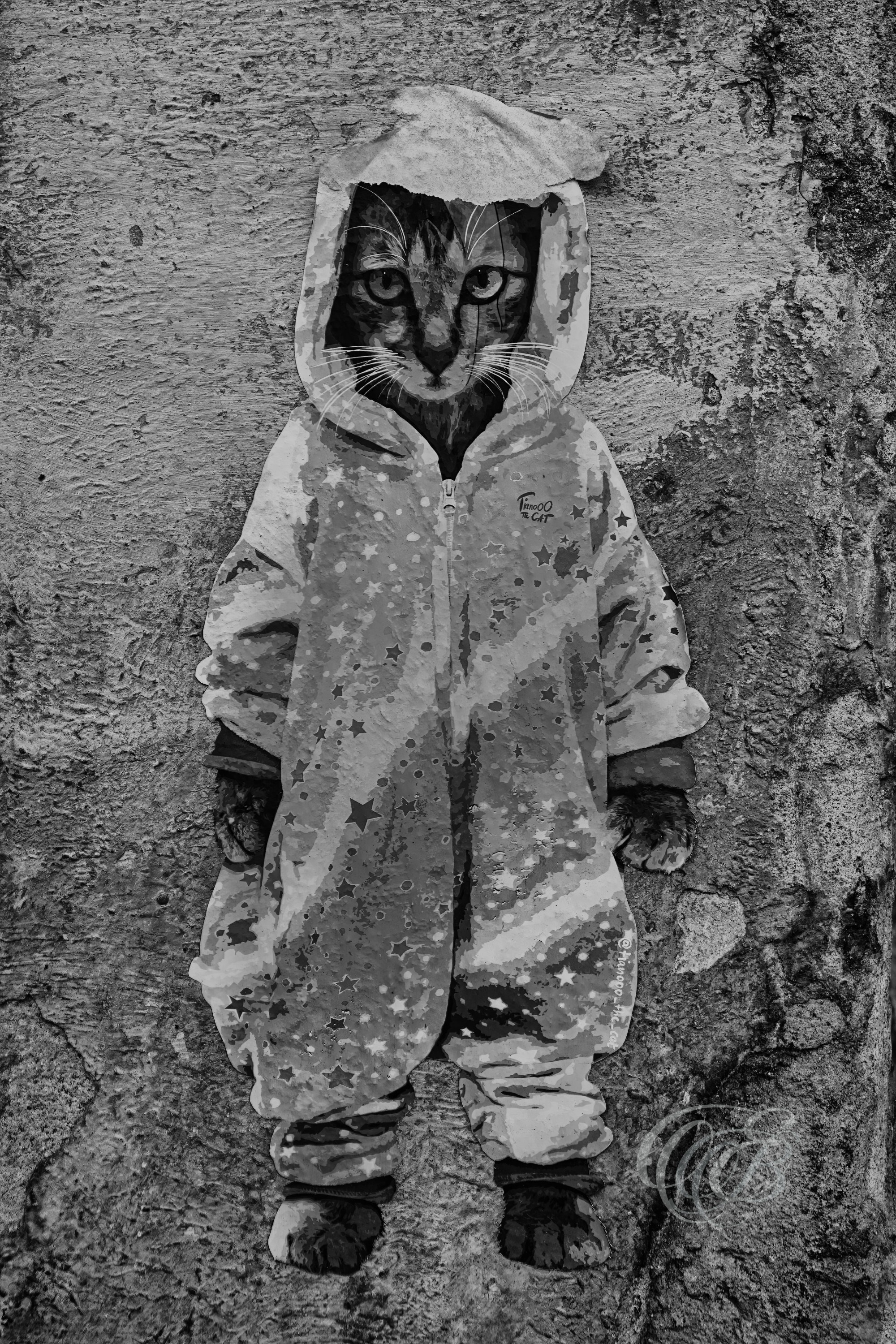 Mallorca in Black & White — Fine Art Photography Noir. Eduardo Bartoli Photography