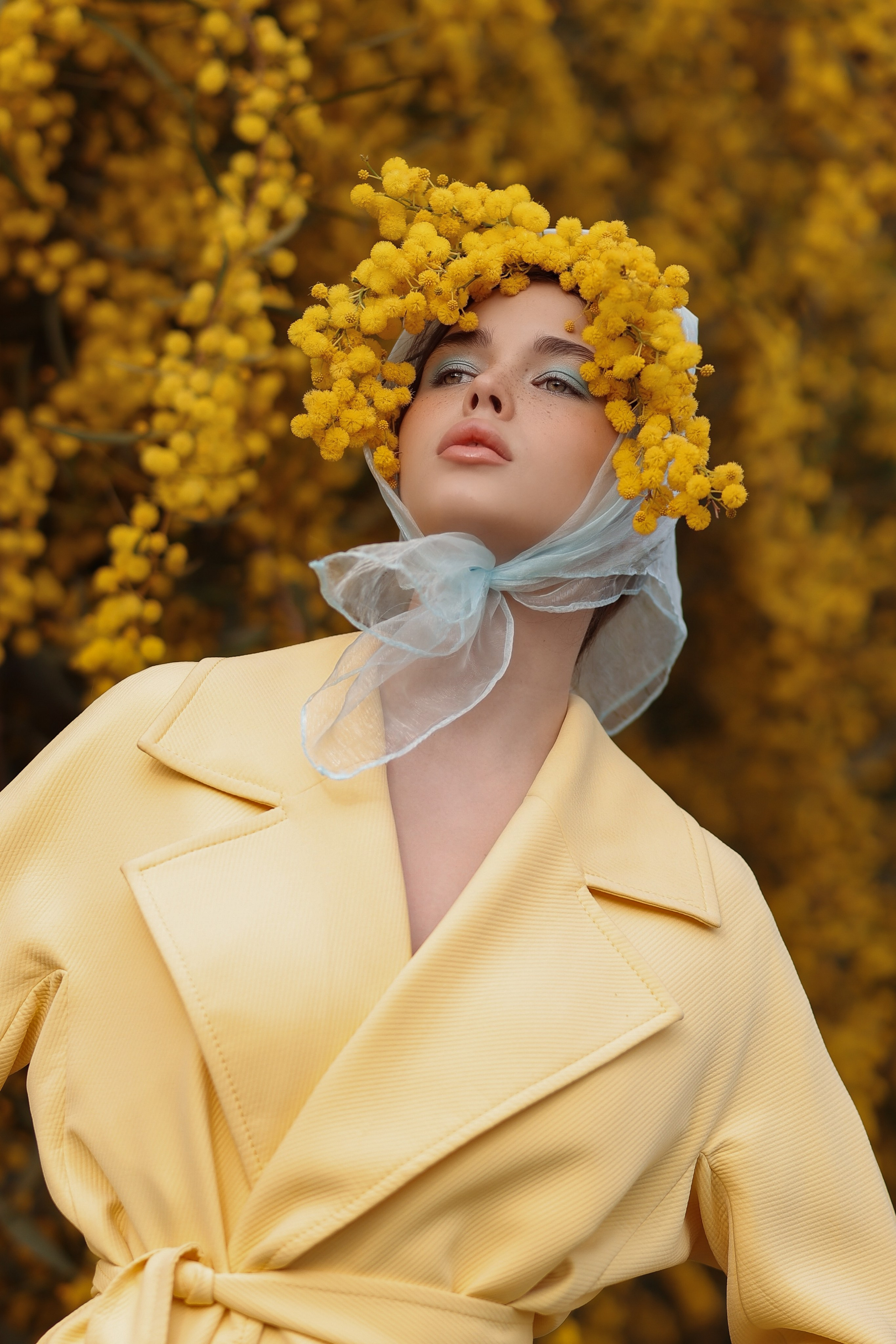 Цветение мимозы в Турции. Фотосессия в мимозе. Фотосессия с мимозой. Фотограф в Турции. Что сейчас цветет в Турции. Что сейчас цветет в Аланьи. Что цветет в апреле в анталии. Фотограф Алания турция. Мимоза в Турции. Цветение в Турции. Турецкая мимоза . Мимоза турция. 