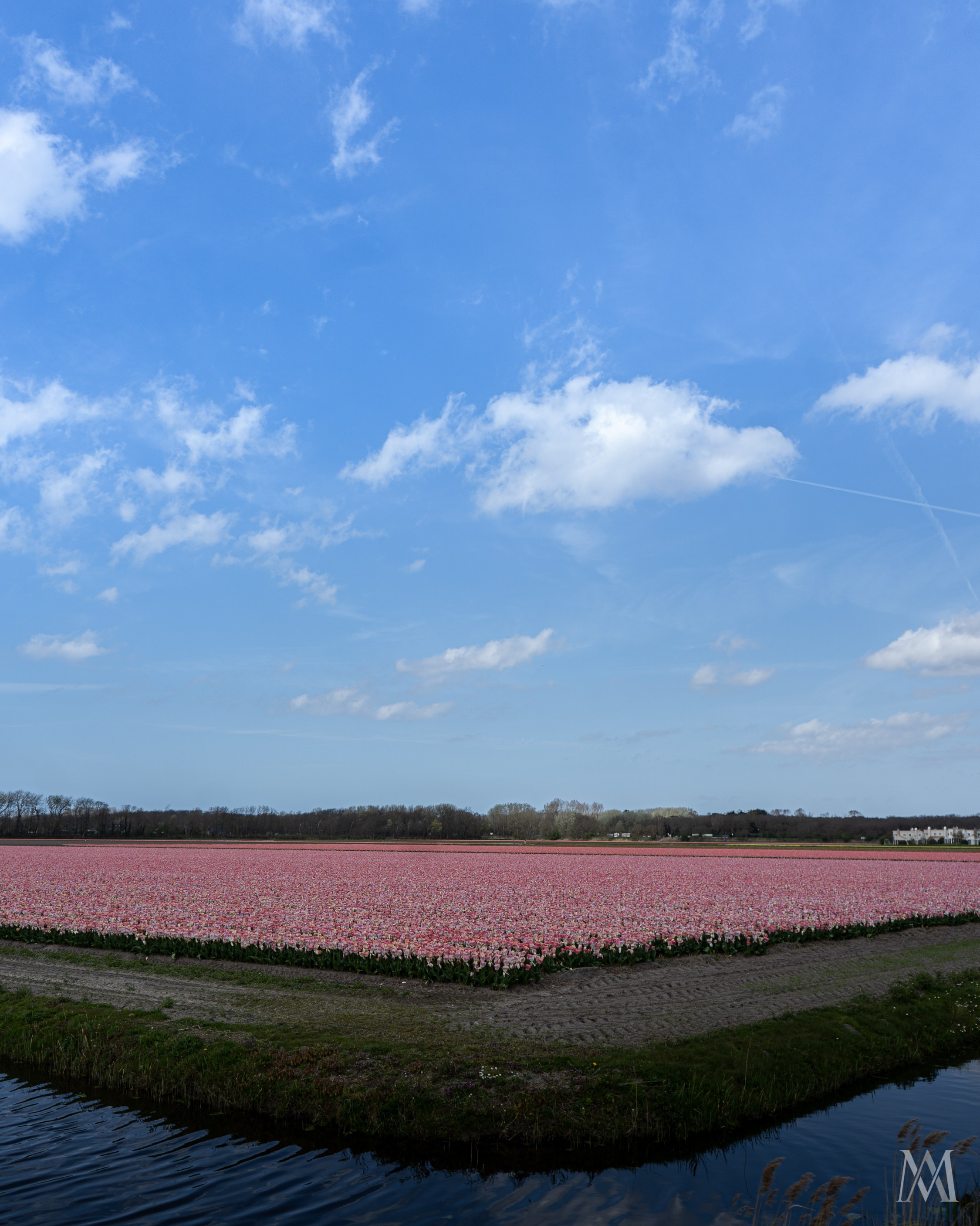 NETHERLANDS. MA Visuals — Fotografia e Vídeo