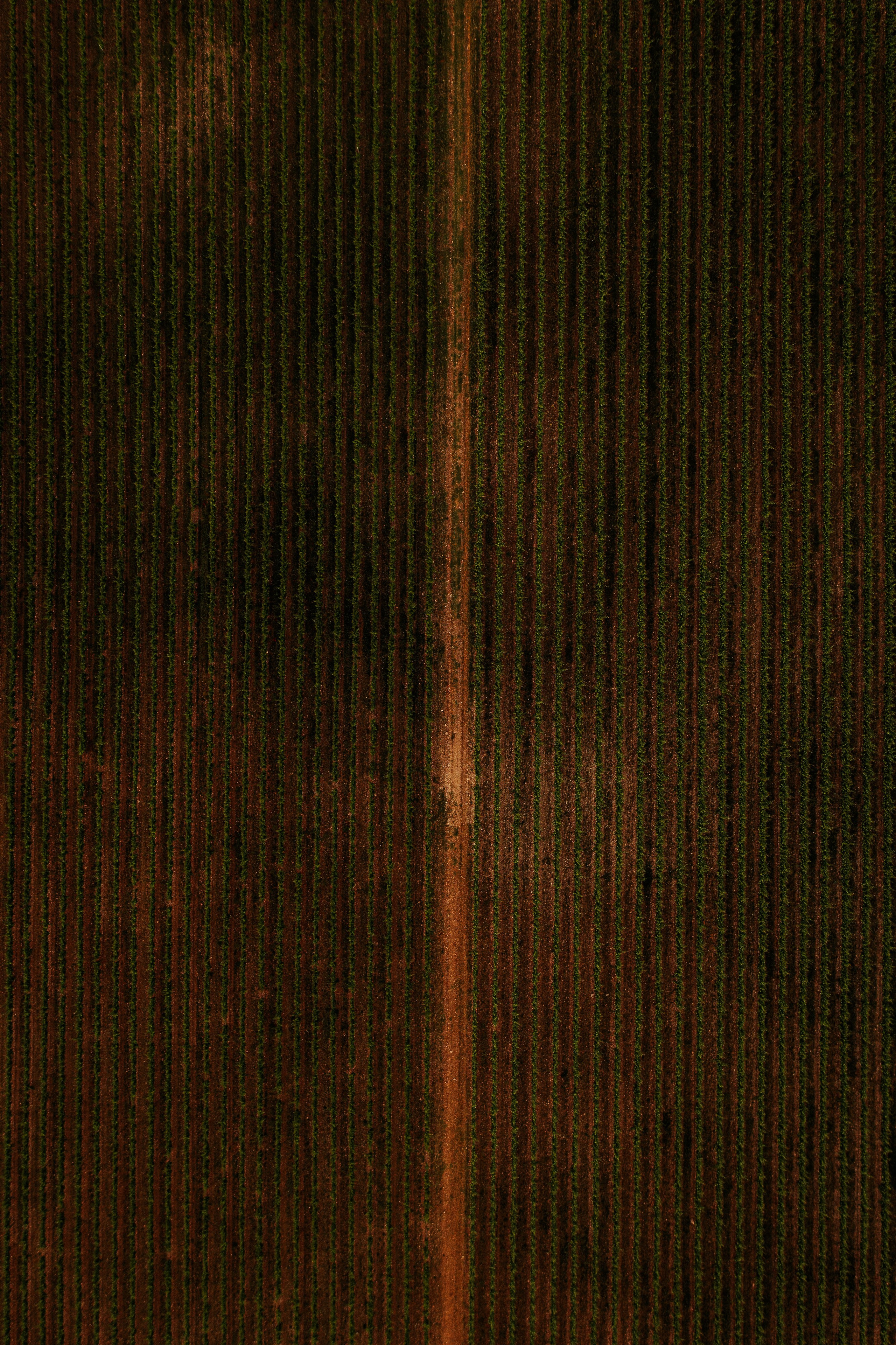 Estates Costa Lazaridi